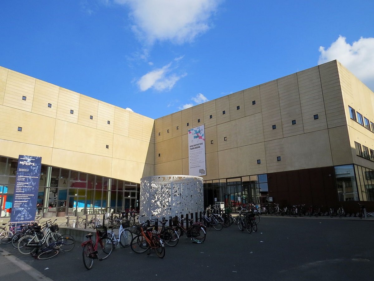 Professionshøjskole