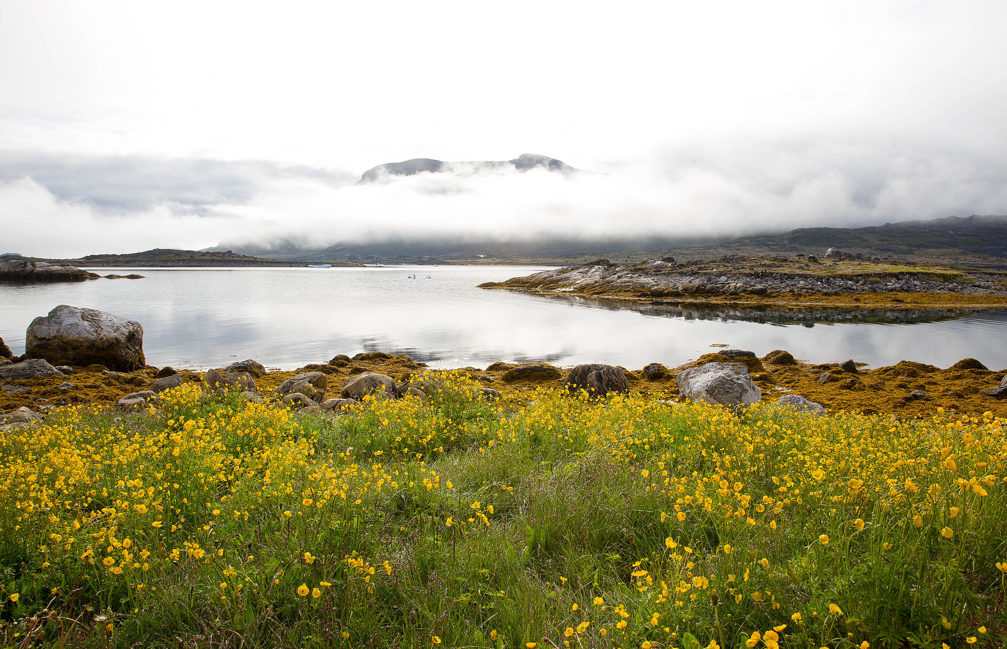 Nanortalik er en af de byer, der udgør Kommune Kujalleq i Grønland.