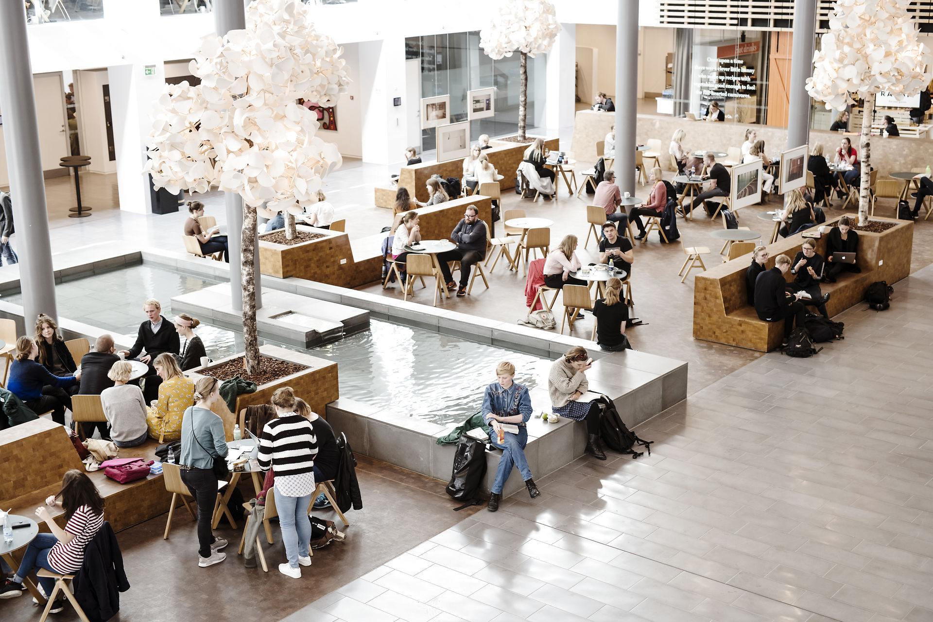 Studerende på Sønder Campus, humaniora