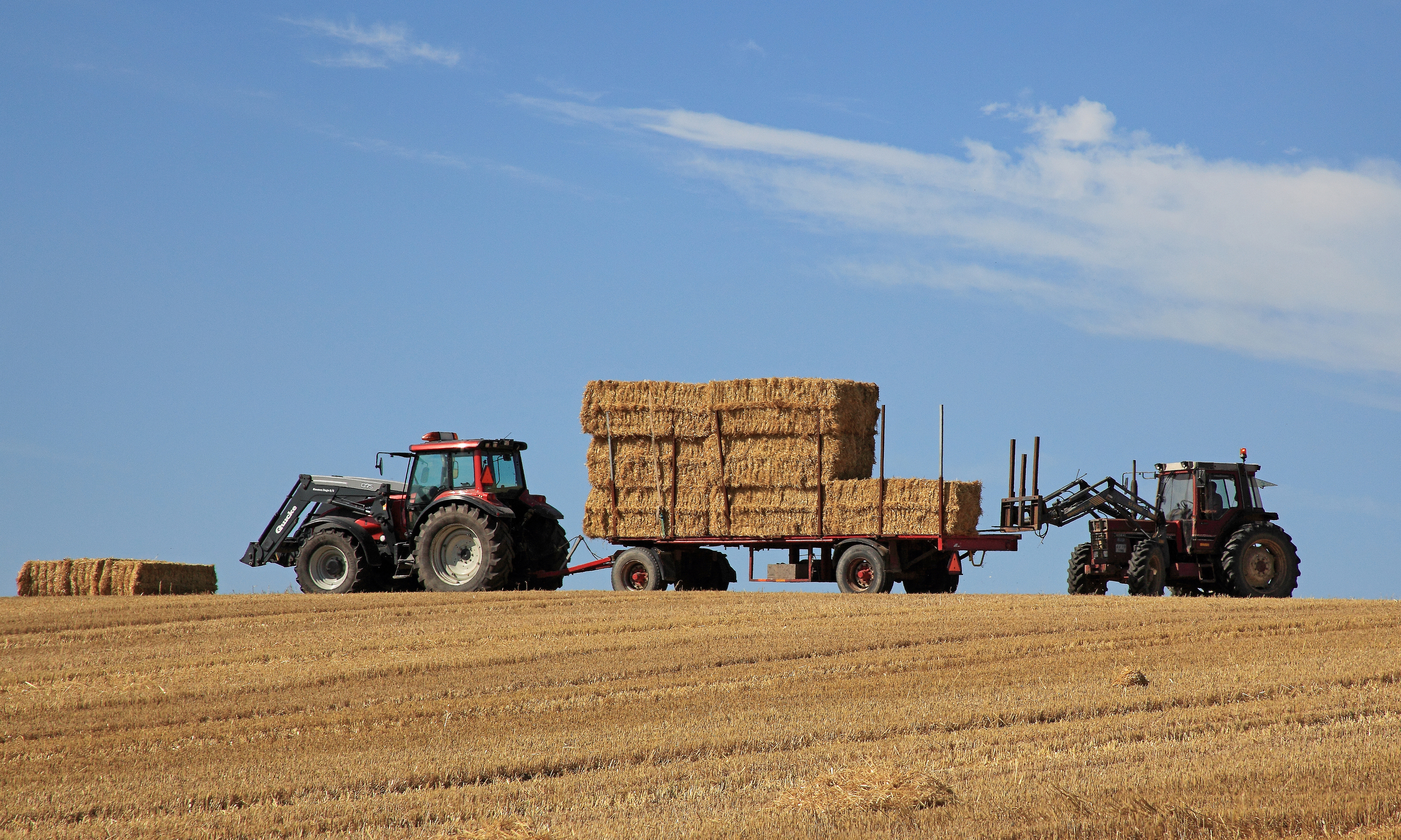 Finn Byrum, Ritzau Scanpix