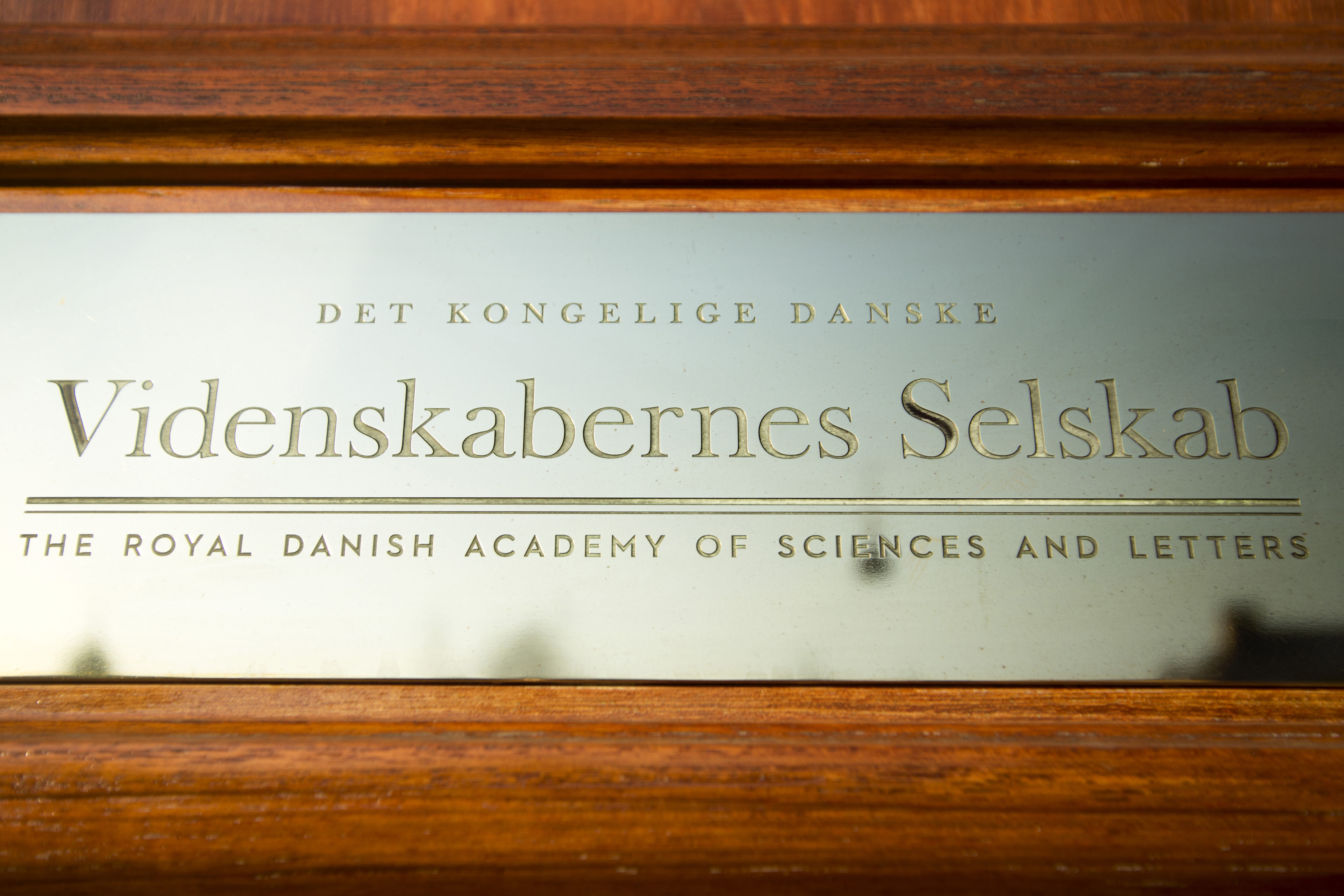 Billede af videnskabernes selskab