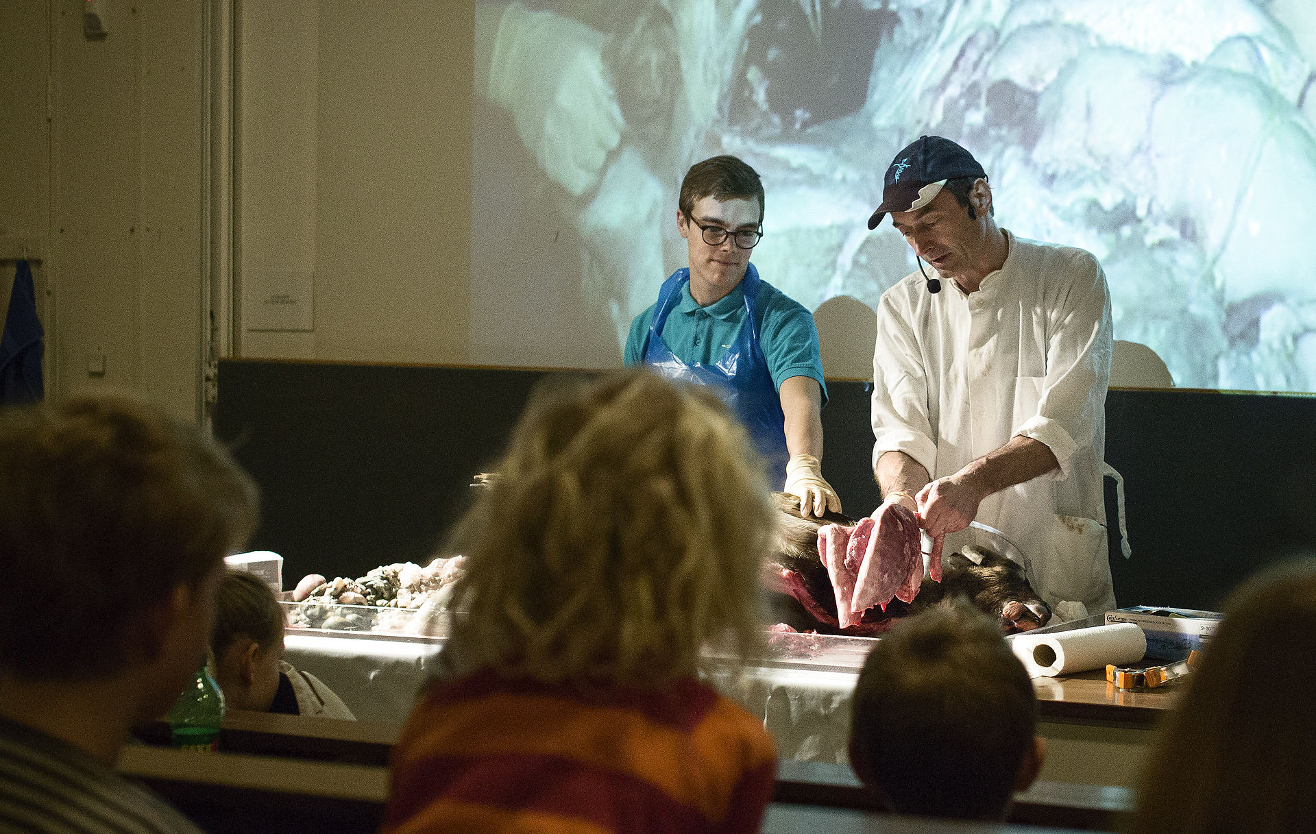Lars Bøgh, Naturhistorisk Museum