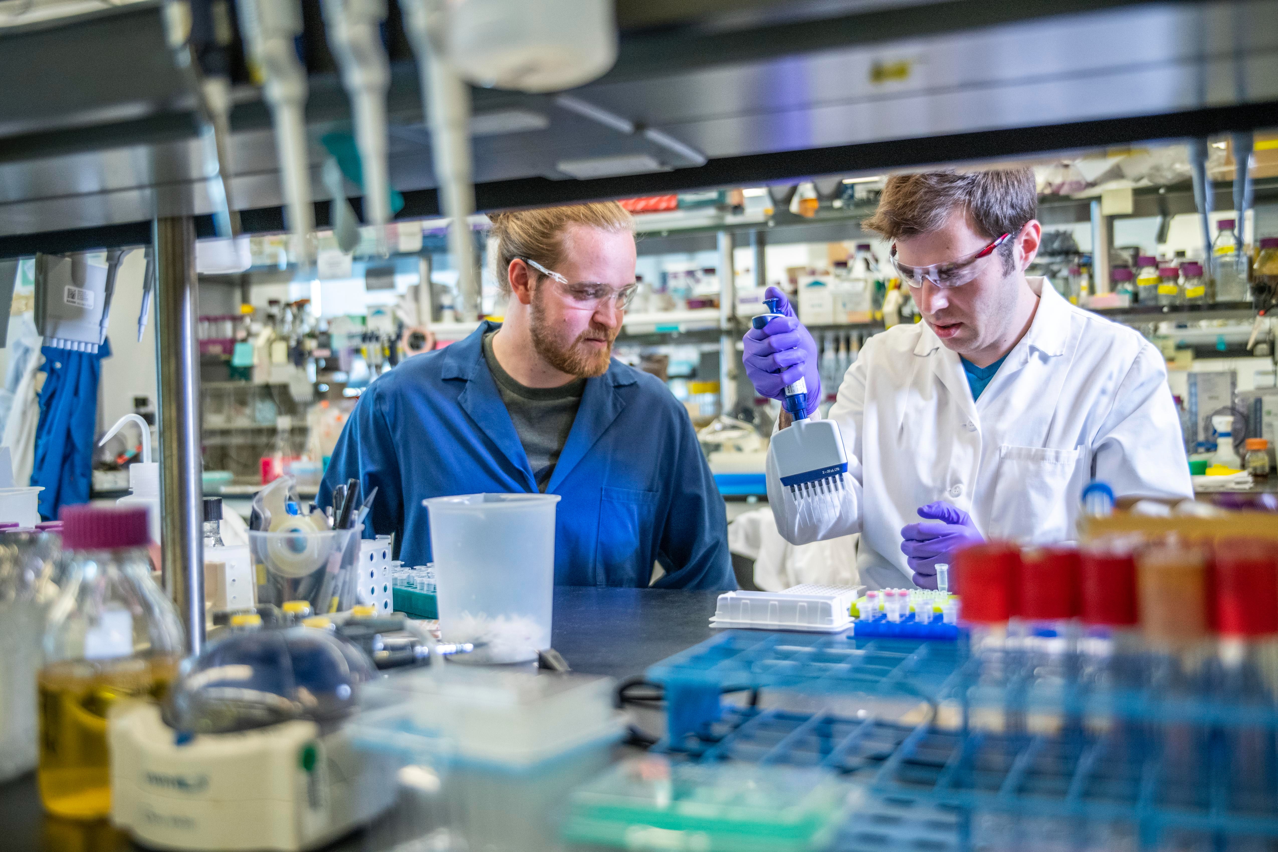 Photo by Science in HD on Unsplash.jpg