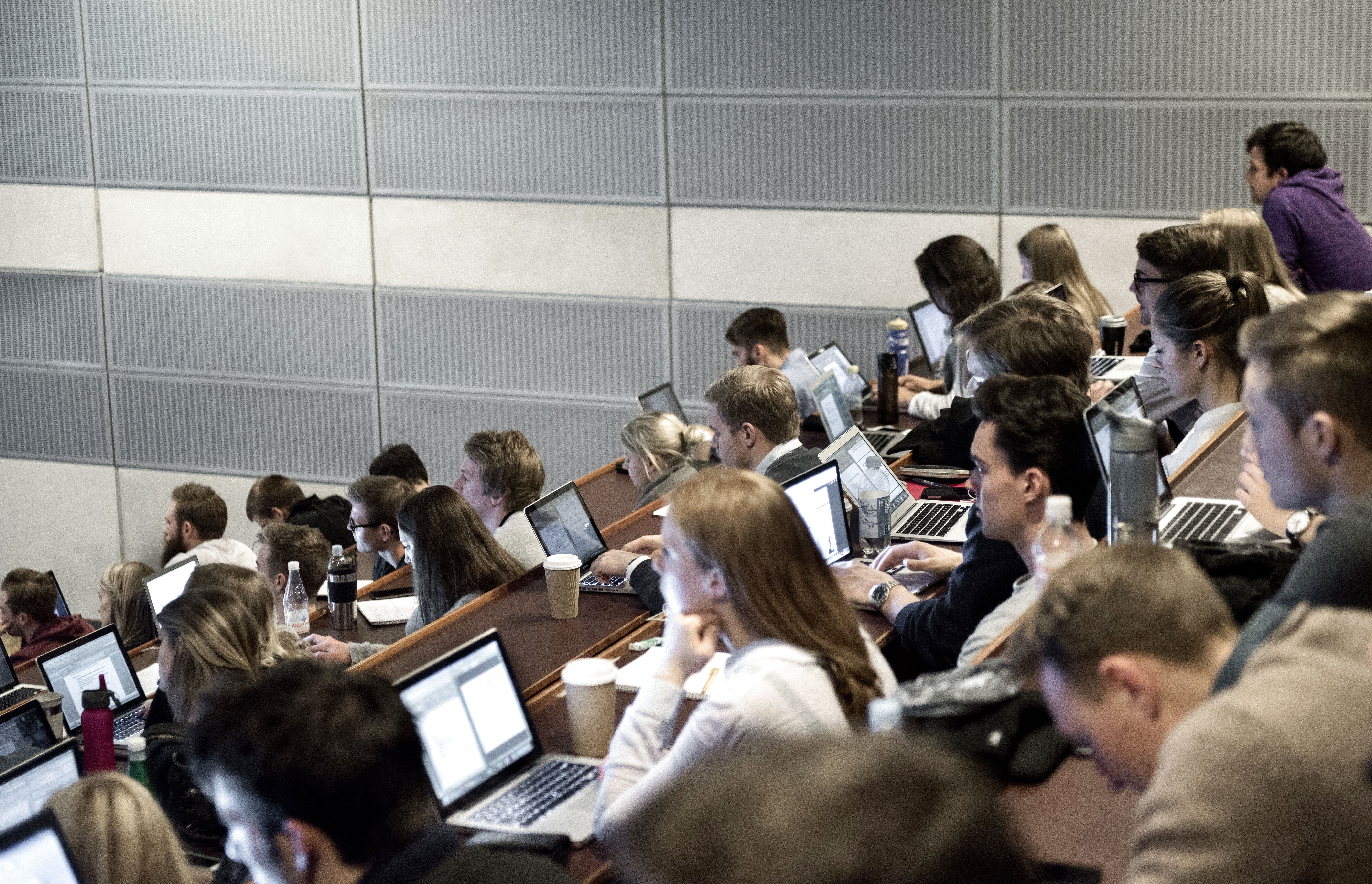 Studerende, universitet, undervisning, karakterer