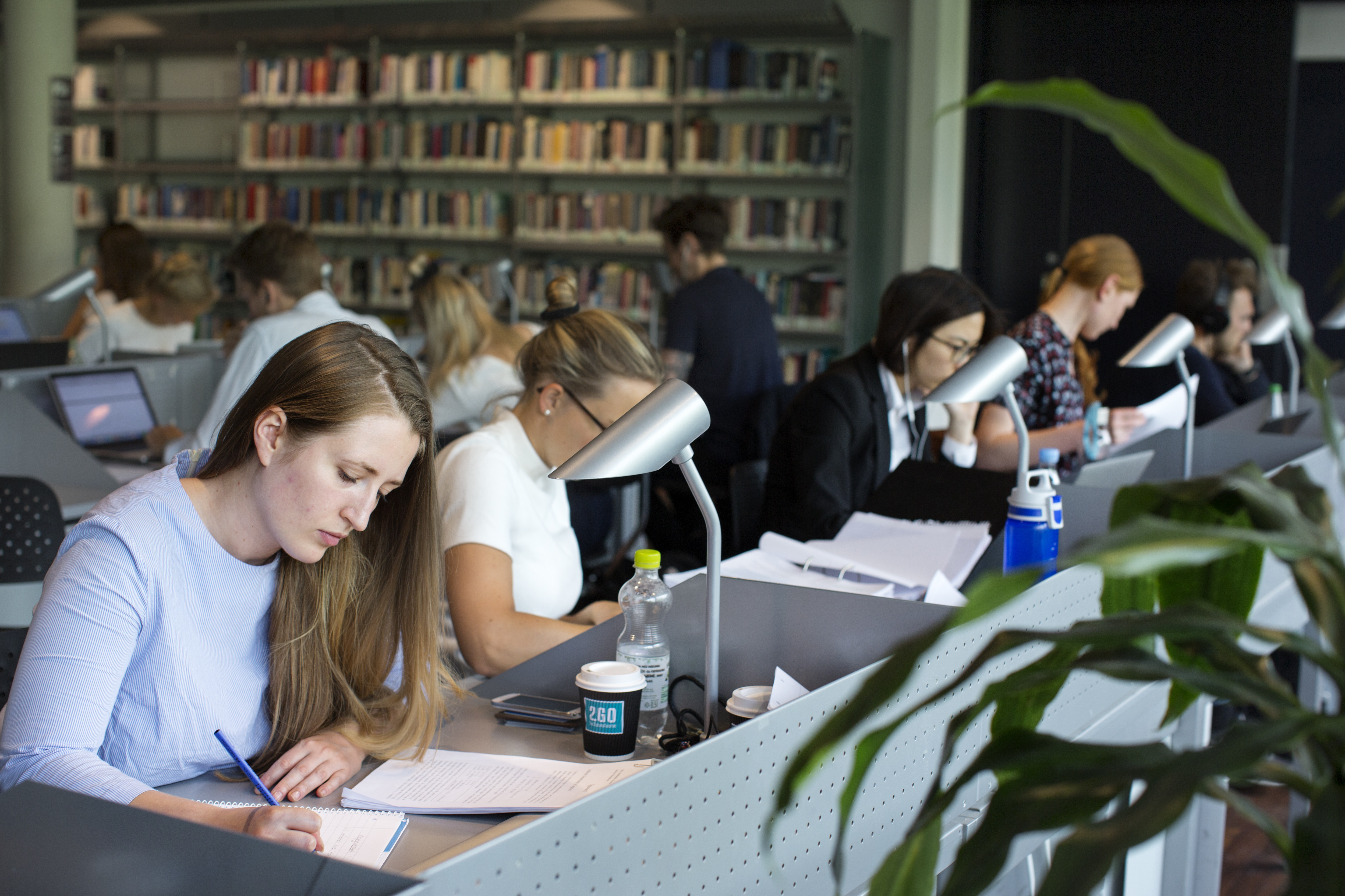 studerende, ansøgning, uddannelsesræs