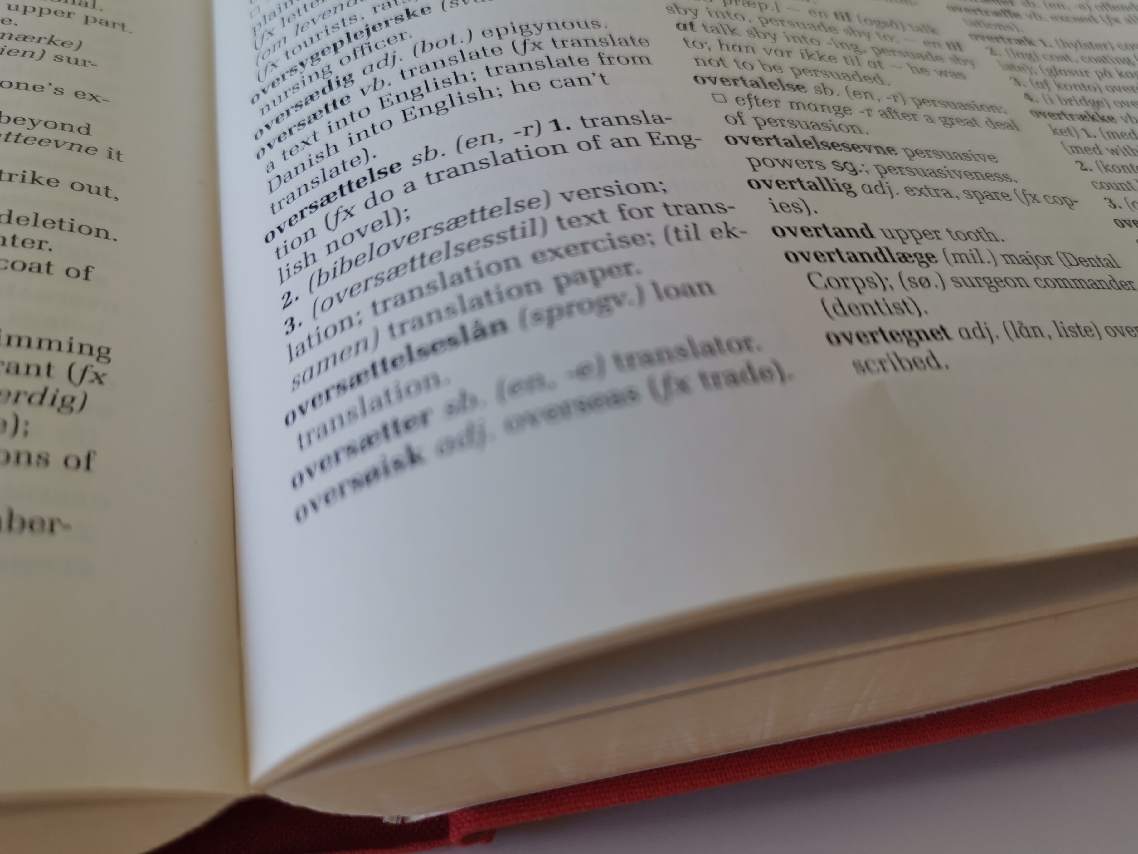 oversaettelse_ordbog.jpg