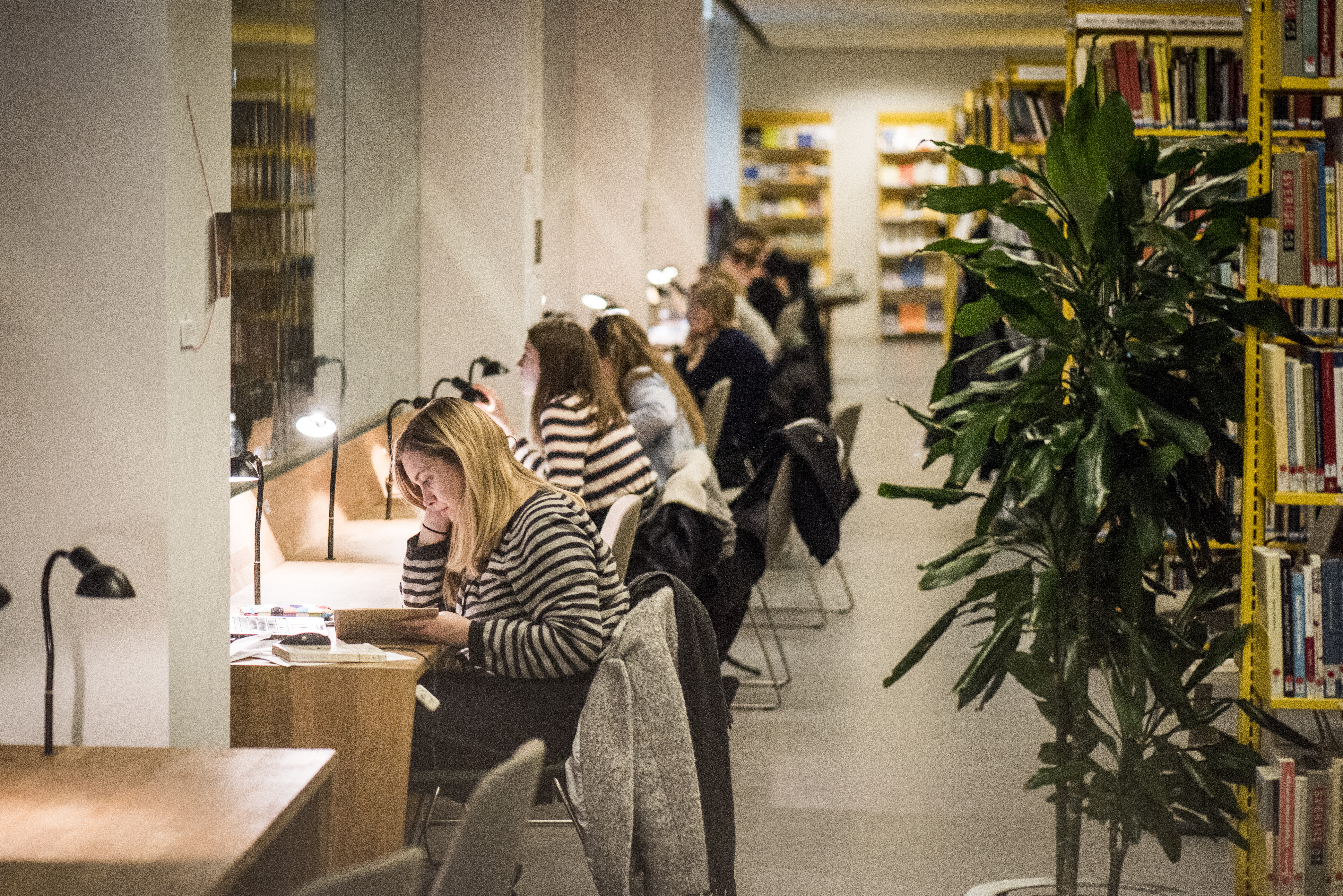 Studerende, KUA, Humaniora