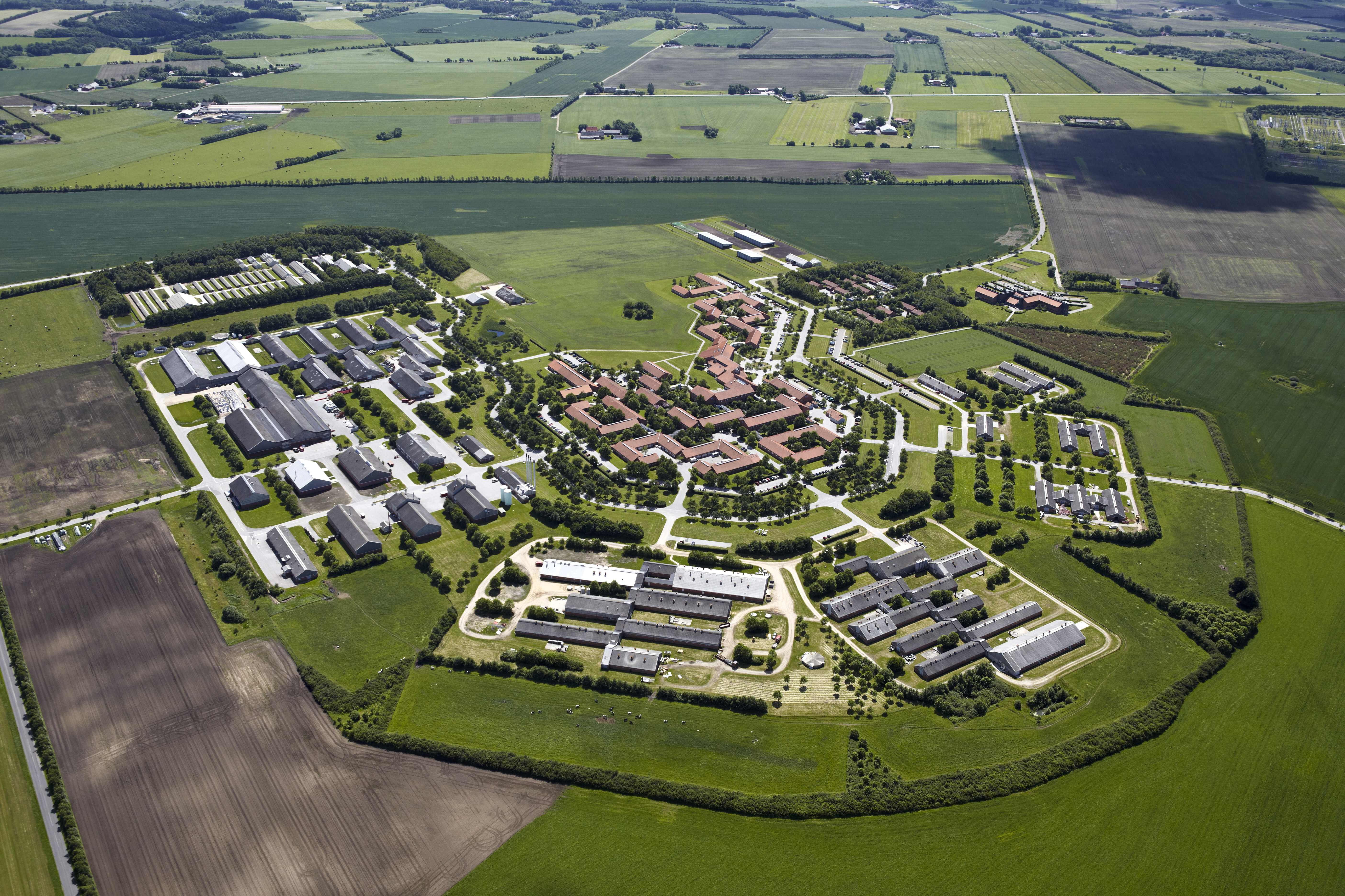 AU’s afdeling i Foulum øst for Viborg huser store dele af universitetets forskning i fødevarer og jordbrug. Nu skal AU betale leje for landbrugsarealerne til staten, selvom de bruges til forskning.