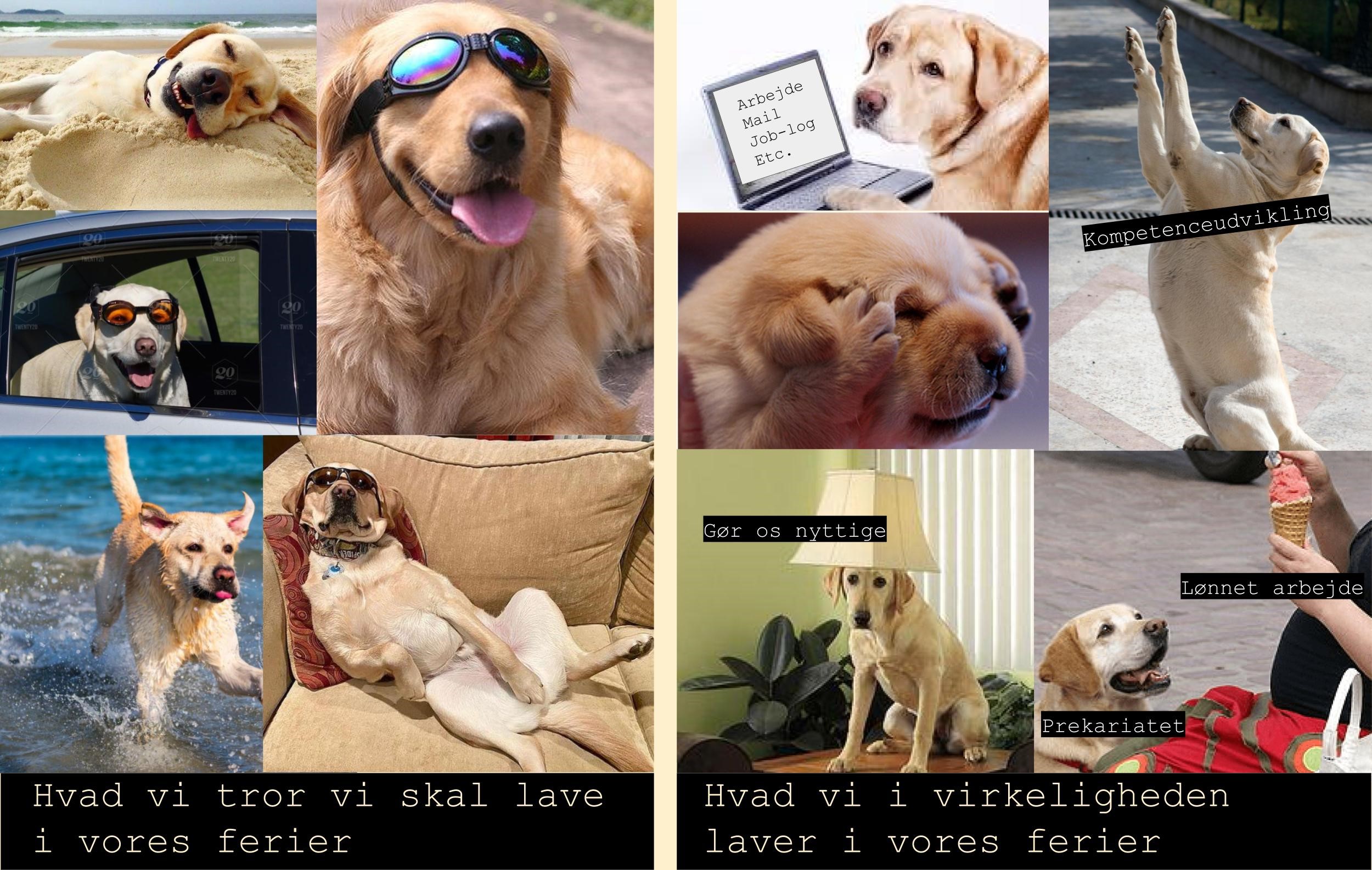 Flexwerker, ferie i prækariatet