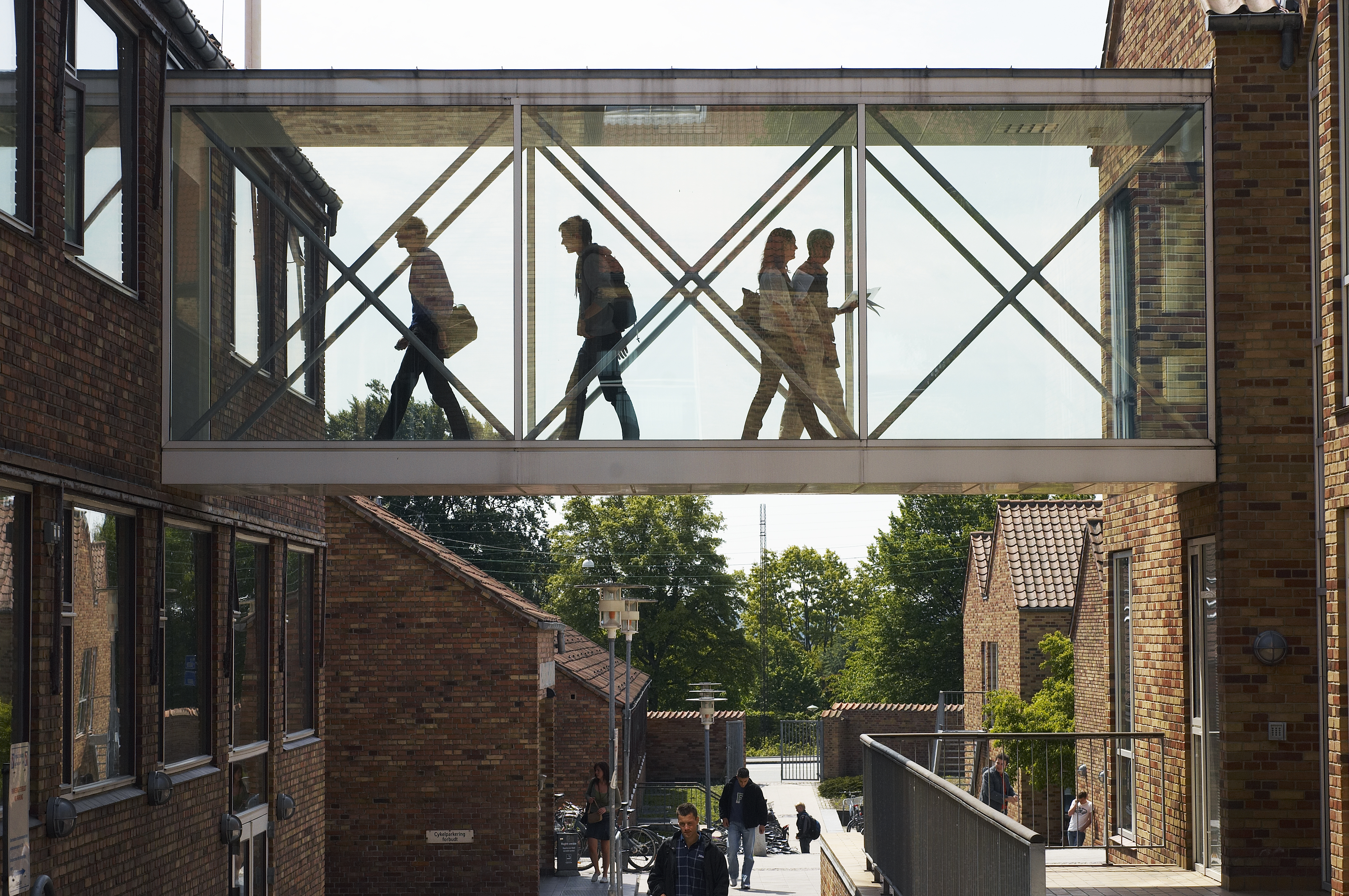 Aarhus Universitet, Sexchikane på Danske Universiteter