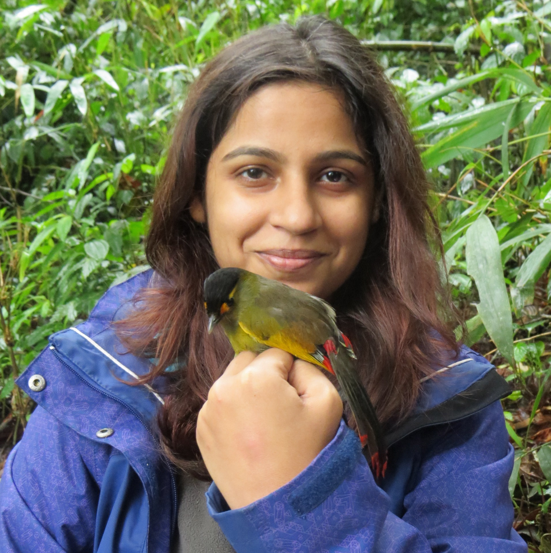 Bela Arora - ph.d.-studerende