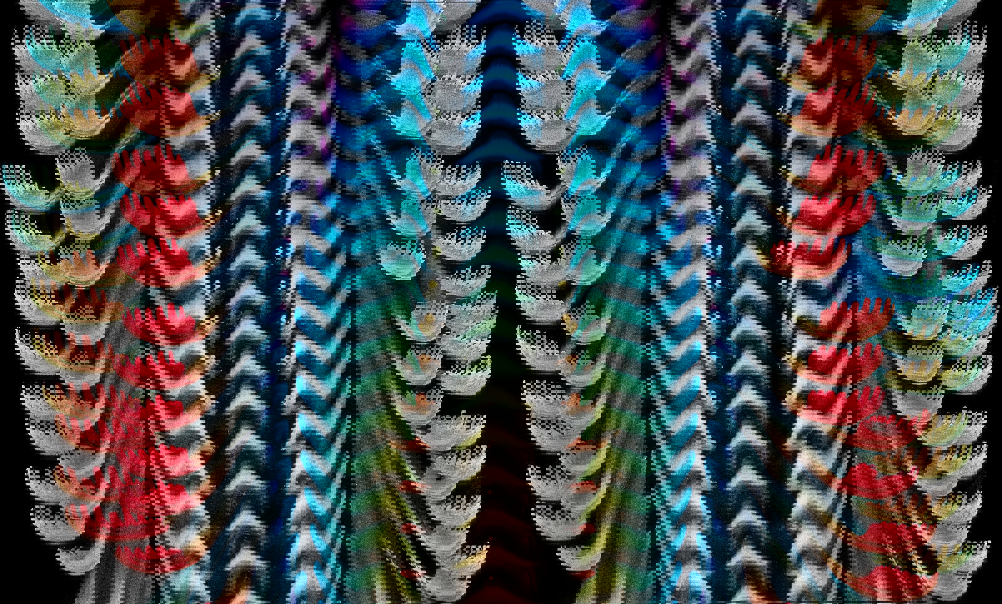 Månedens foto: Snegletunge