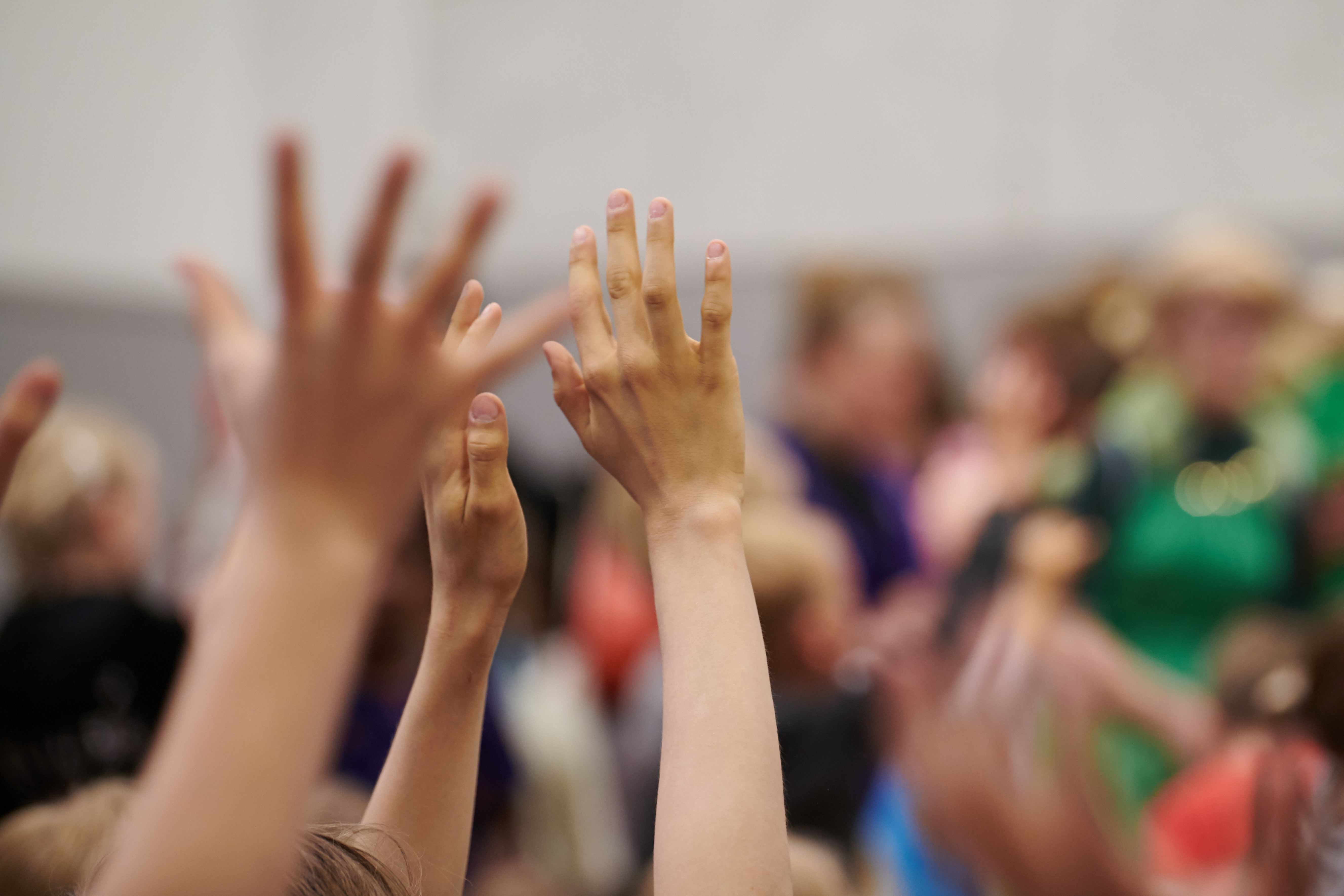 Håndsoprækning stemme afstemning demokrati 