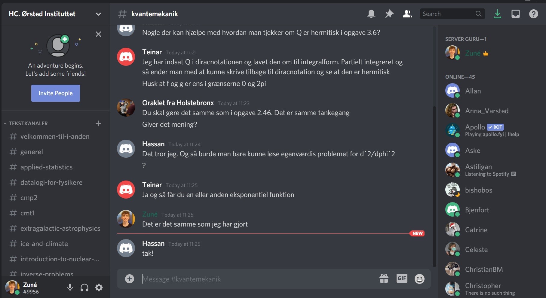 discord_fysik_screenshot.jpg