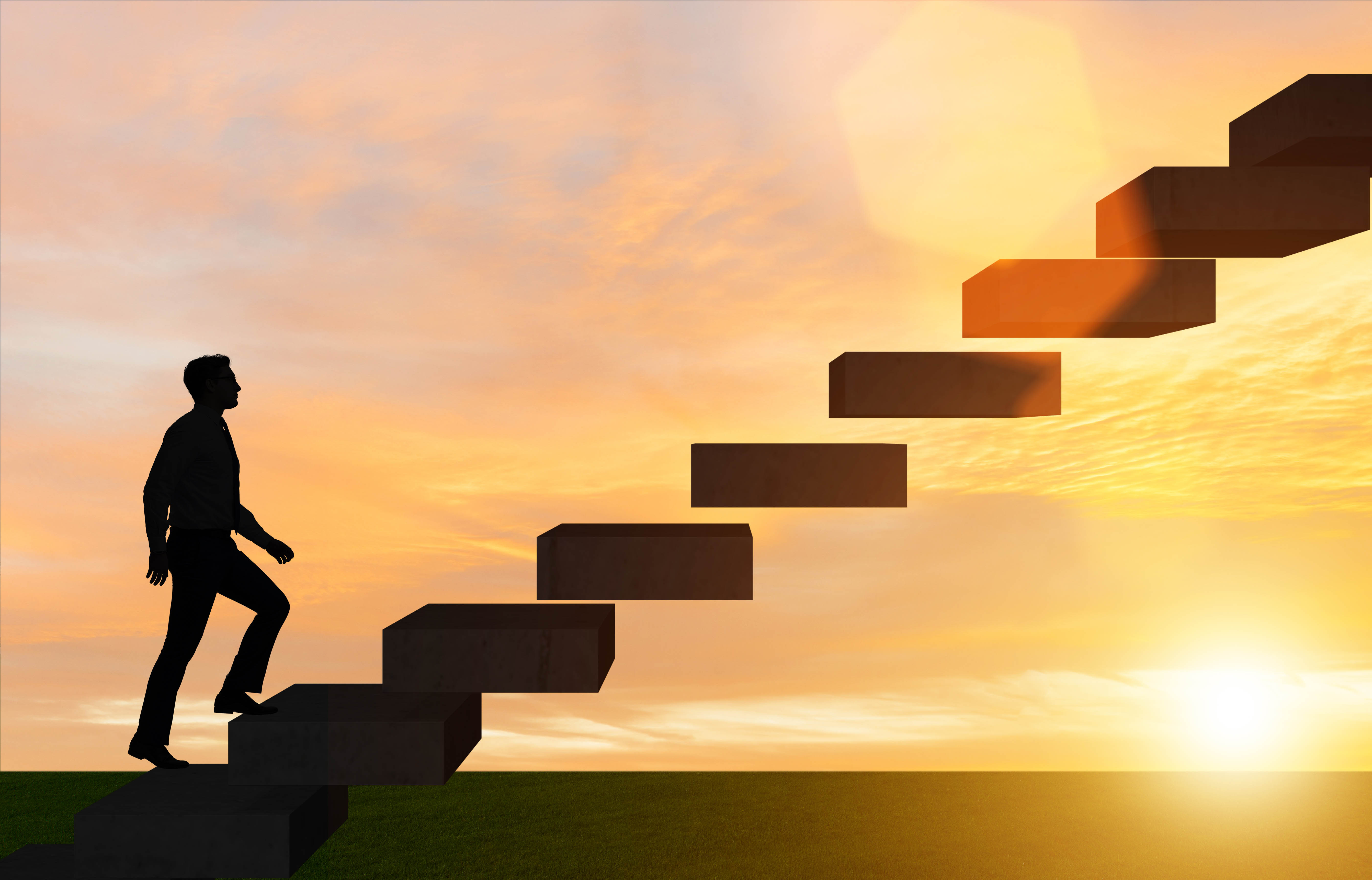 Forfremmelsesprogrammer