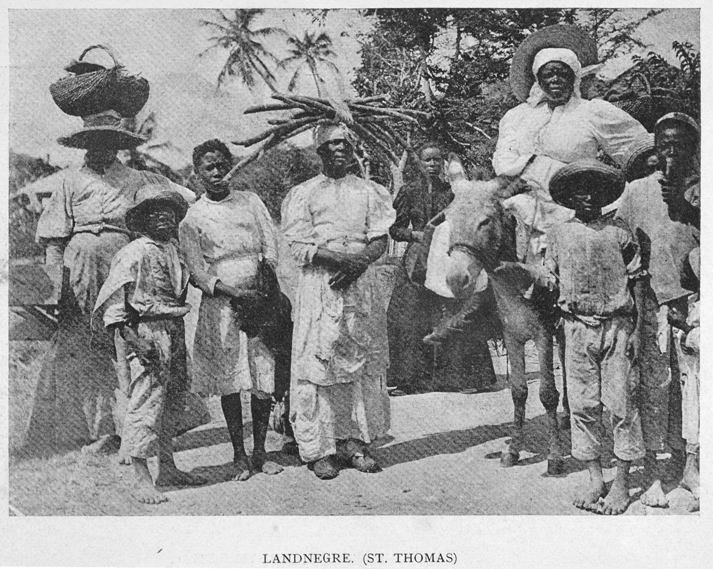 Kolonihistorie Danmark 