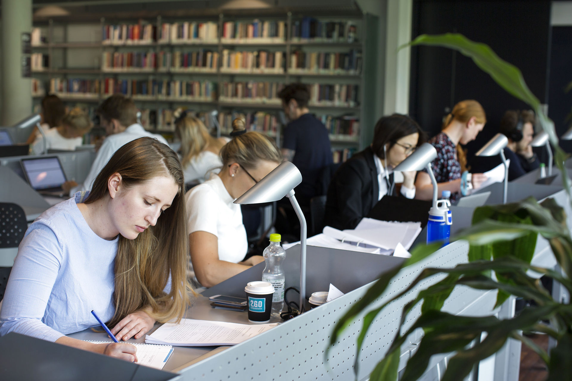 Studerende i fordybelse på biblioteket på CBS
