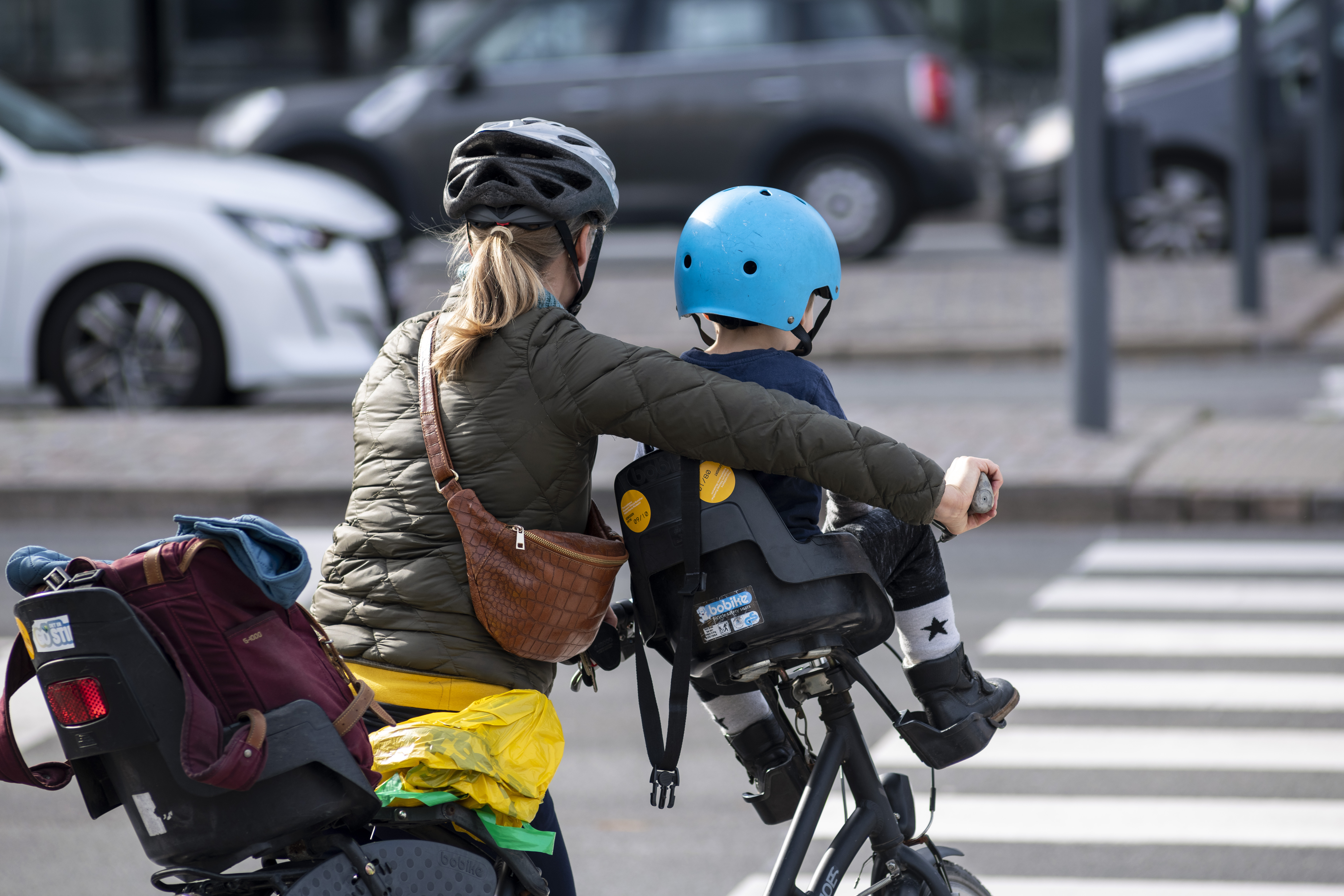 Arbejdsliv, bæredygtig arbejdsliv