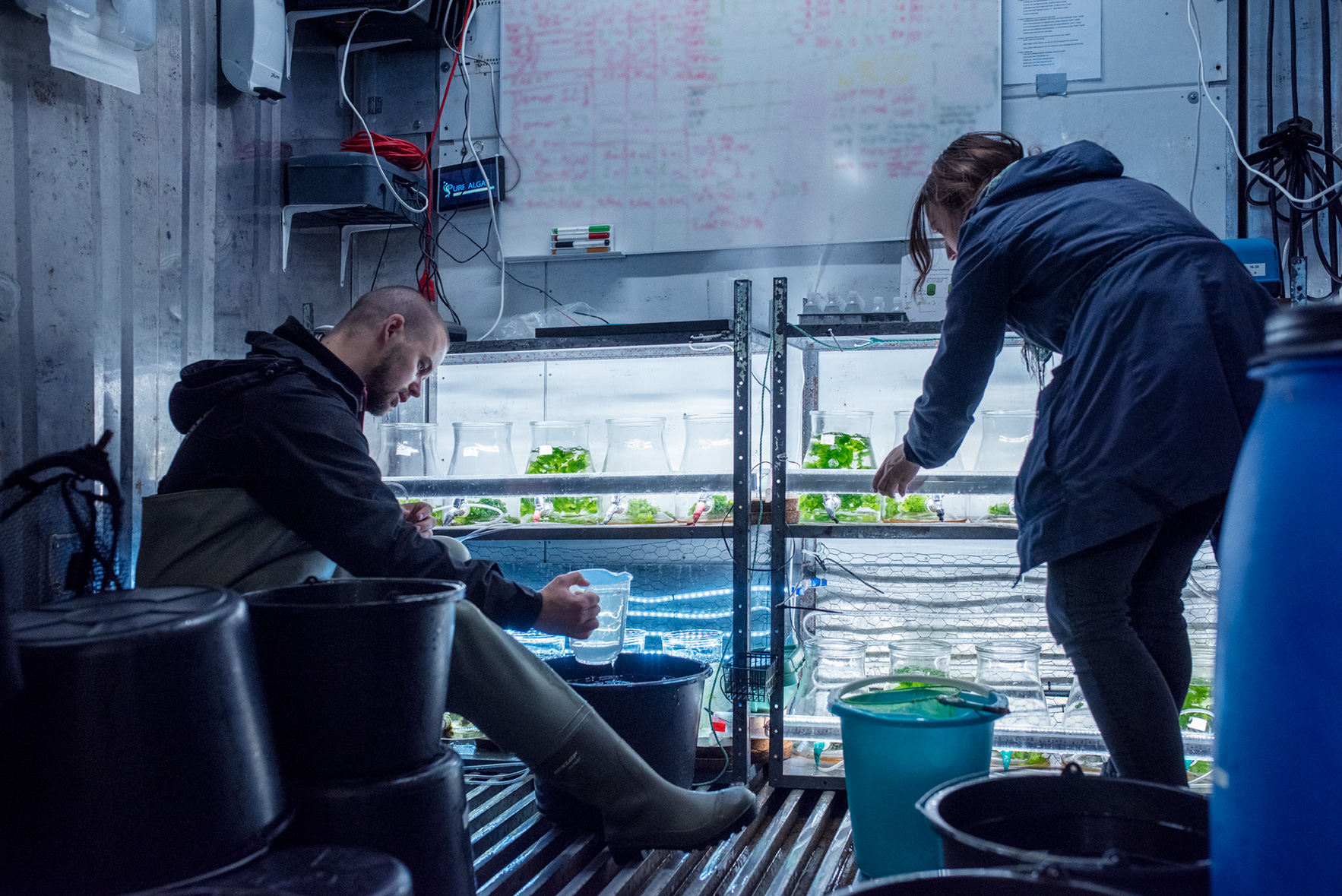 BIO DMs nye platform