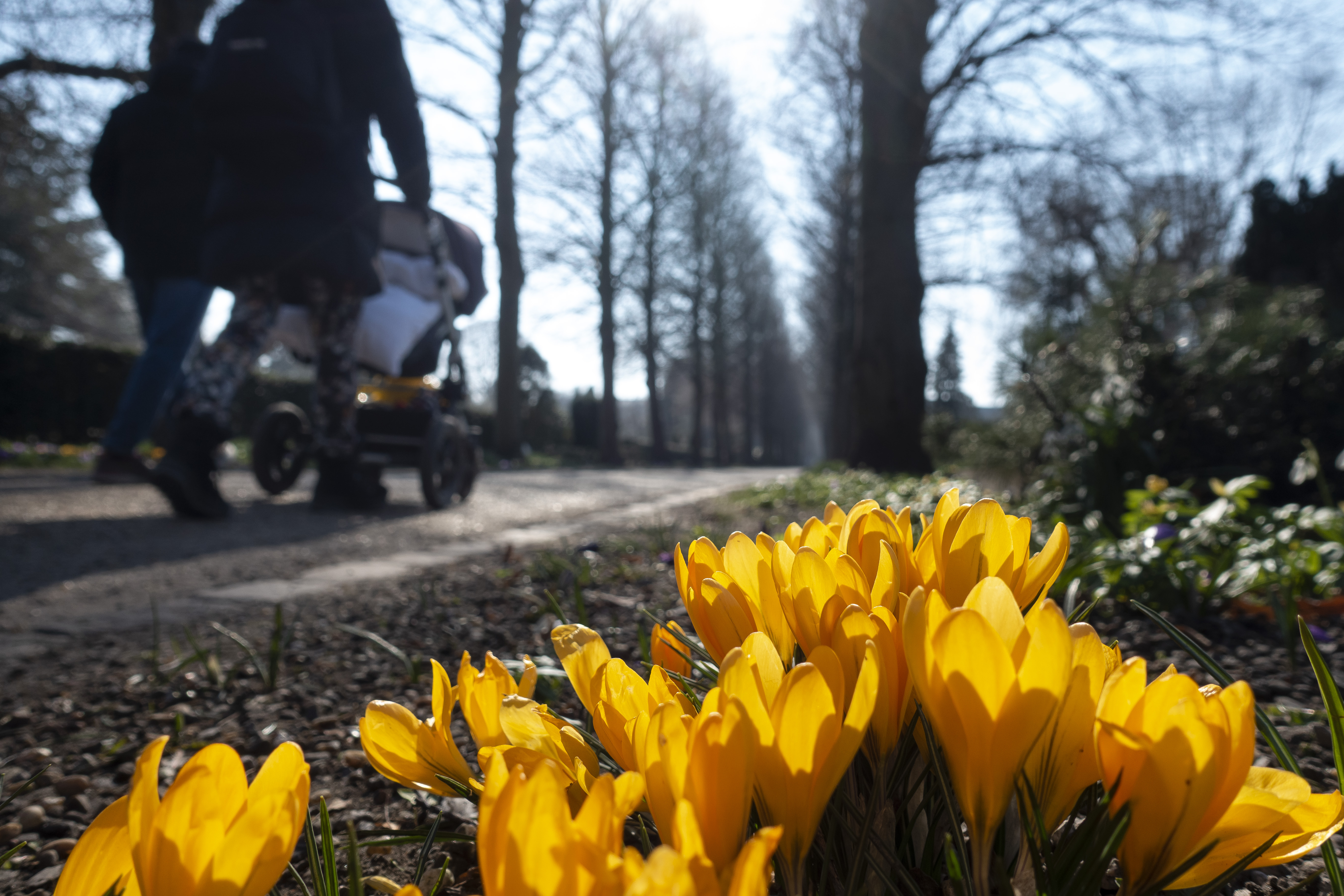 Kirkegård grænseløst arbejdsliv