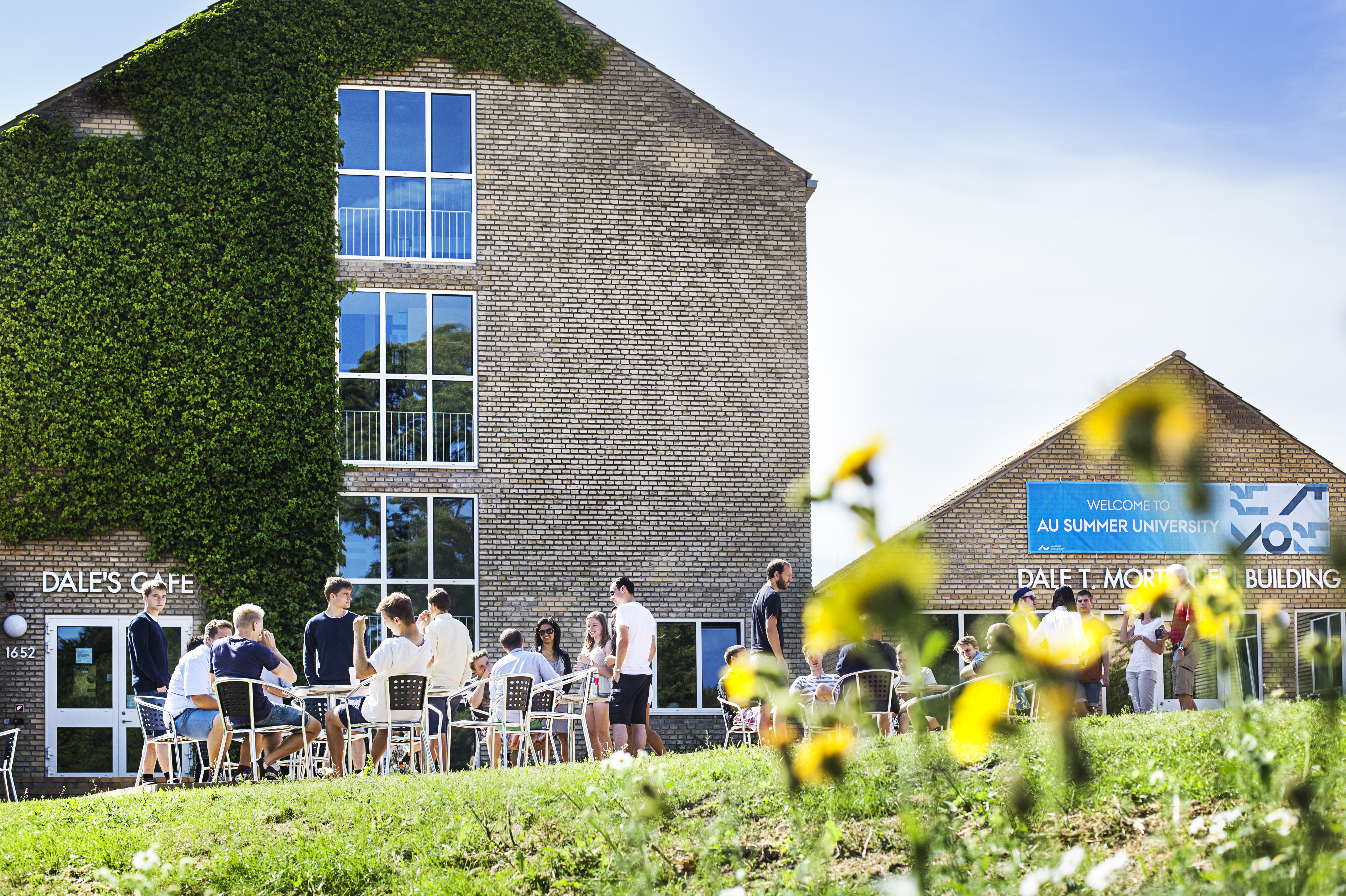 Aarhus Universitet om sommeren