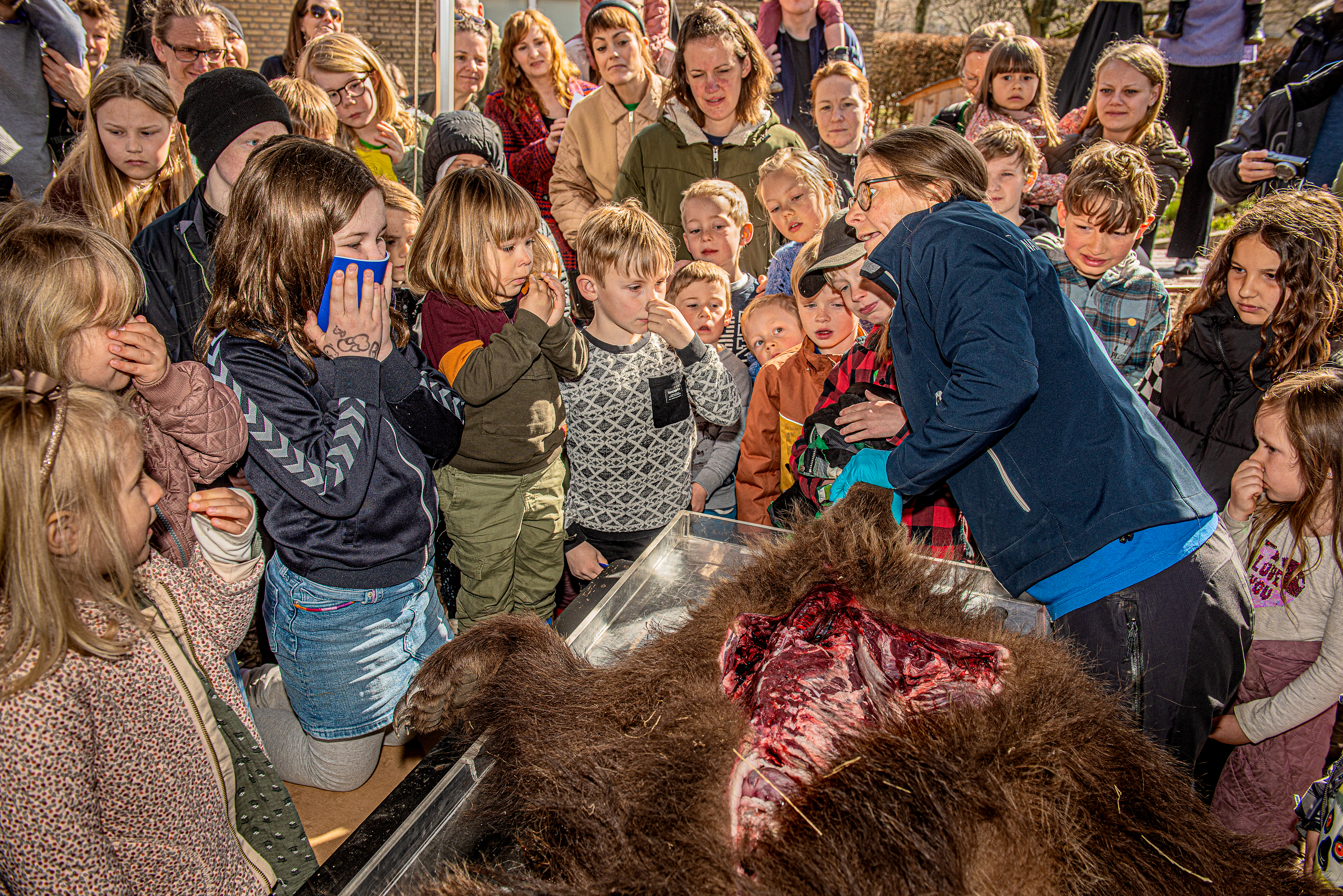 Pernille Mølgaard Andersen