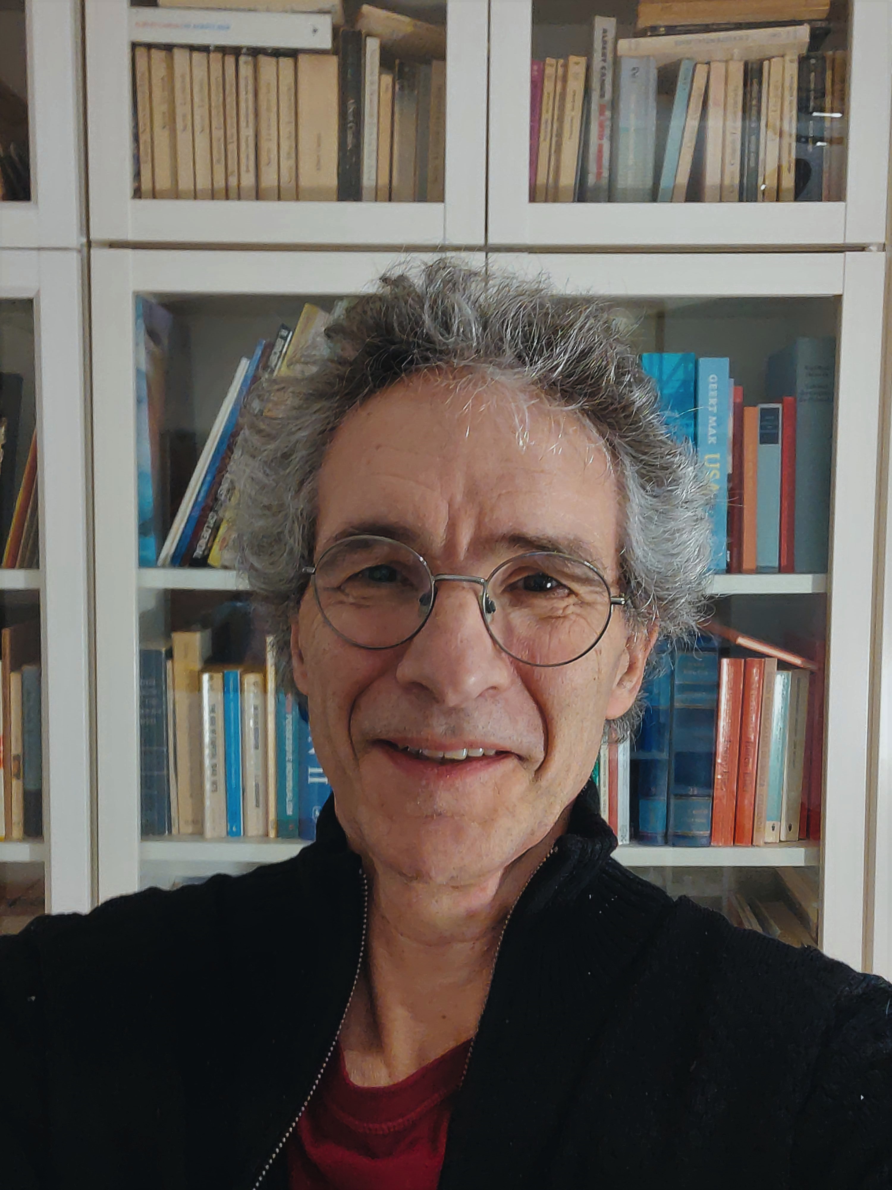 Jan Jaap Rothuizen, lektor på VIA 