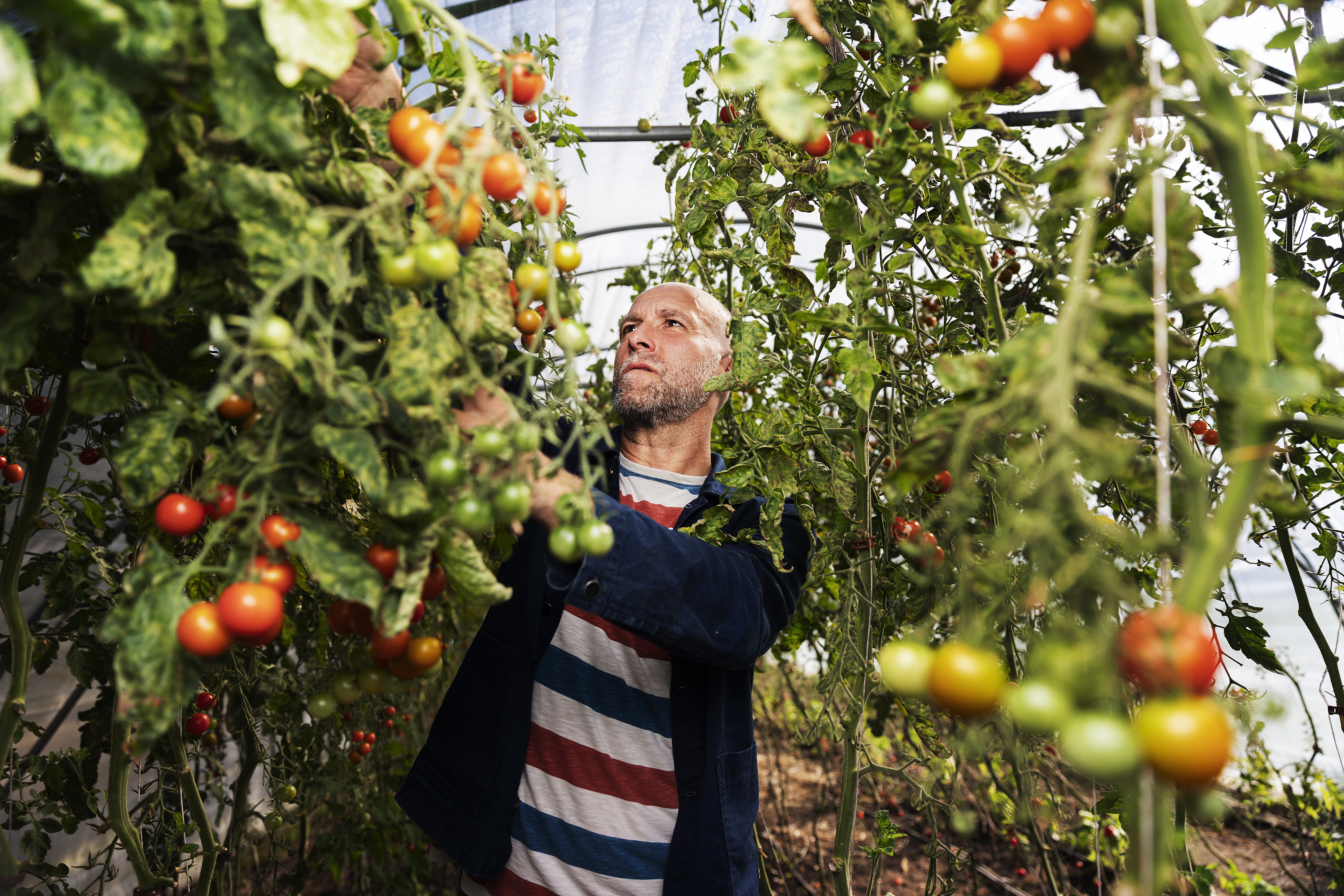 Jacob Westergaard Madsen fra museumsinspektør til daglig leder af foreningen Andelgaarde
