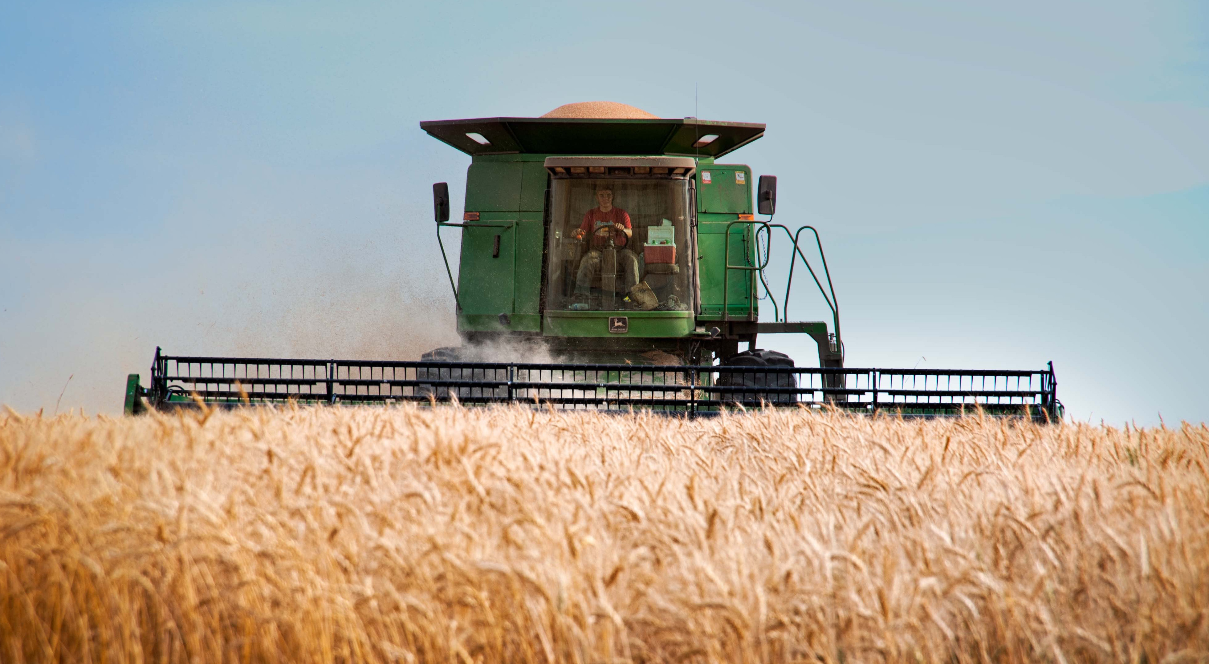 Regeringen vil forkorte halvdelen af alle kandidatuddannelser
