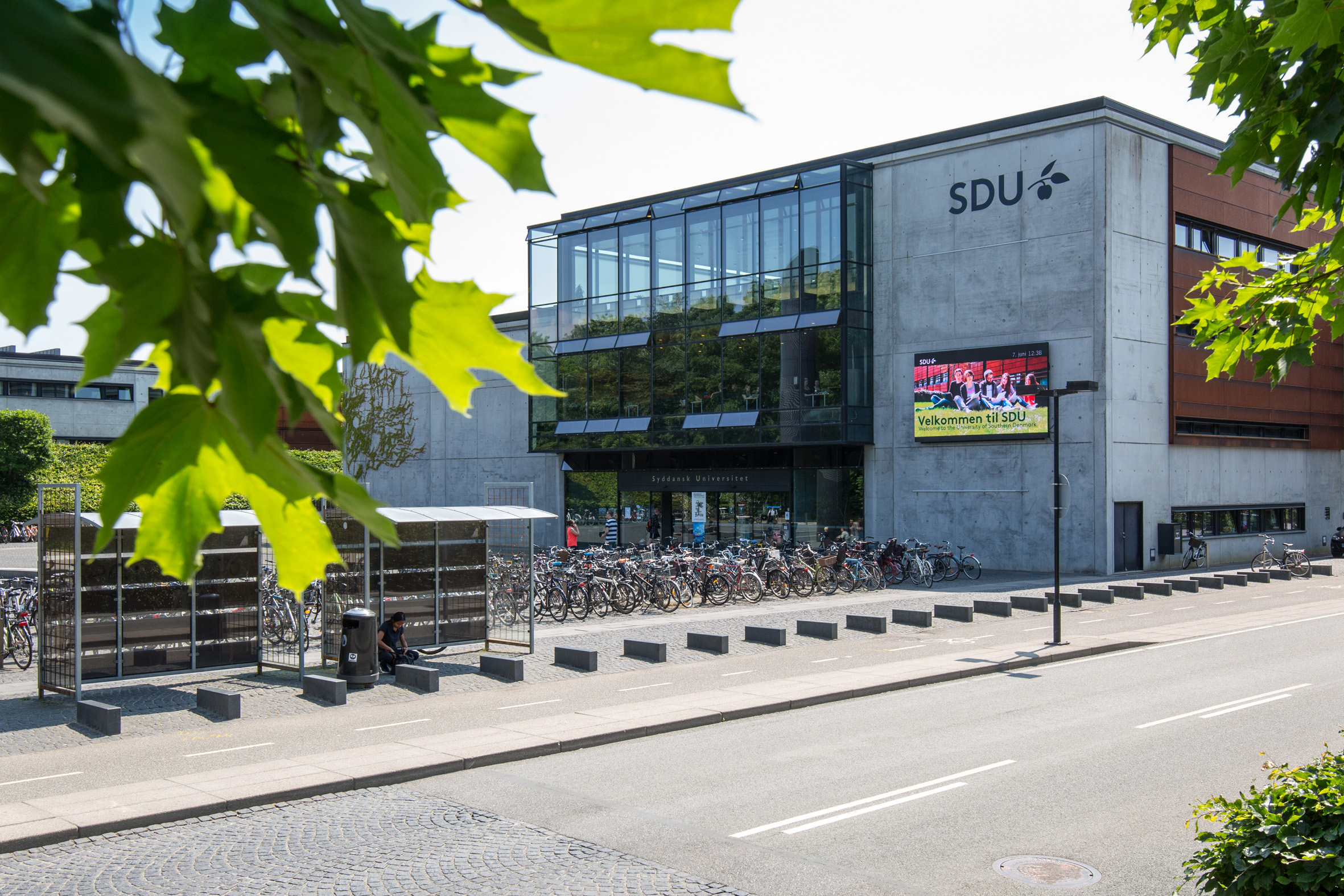SDU