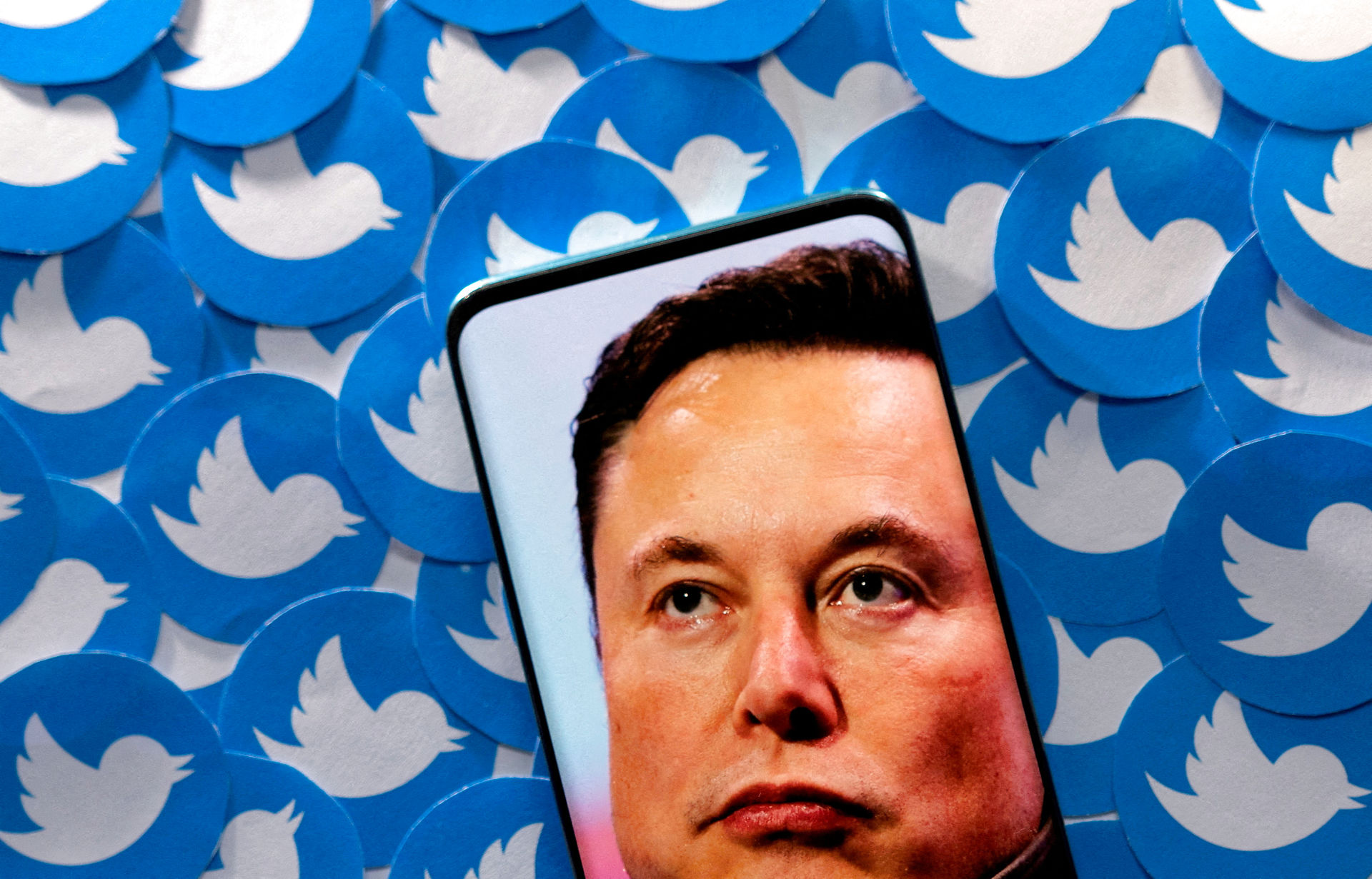 Elon Musk har fået nyt legetøj - det sociale medie Twitter med 238 millioner brugere.