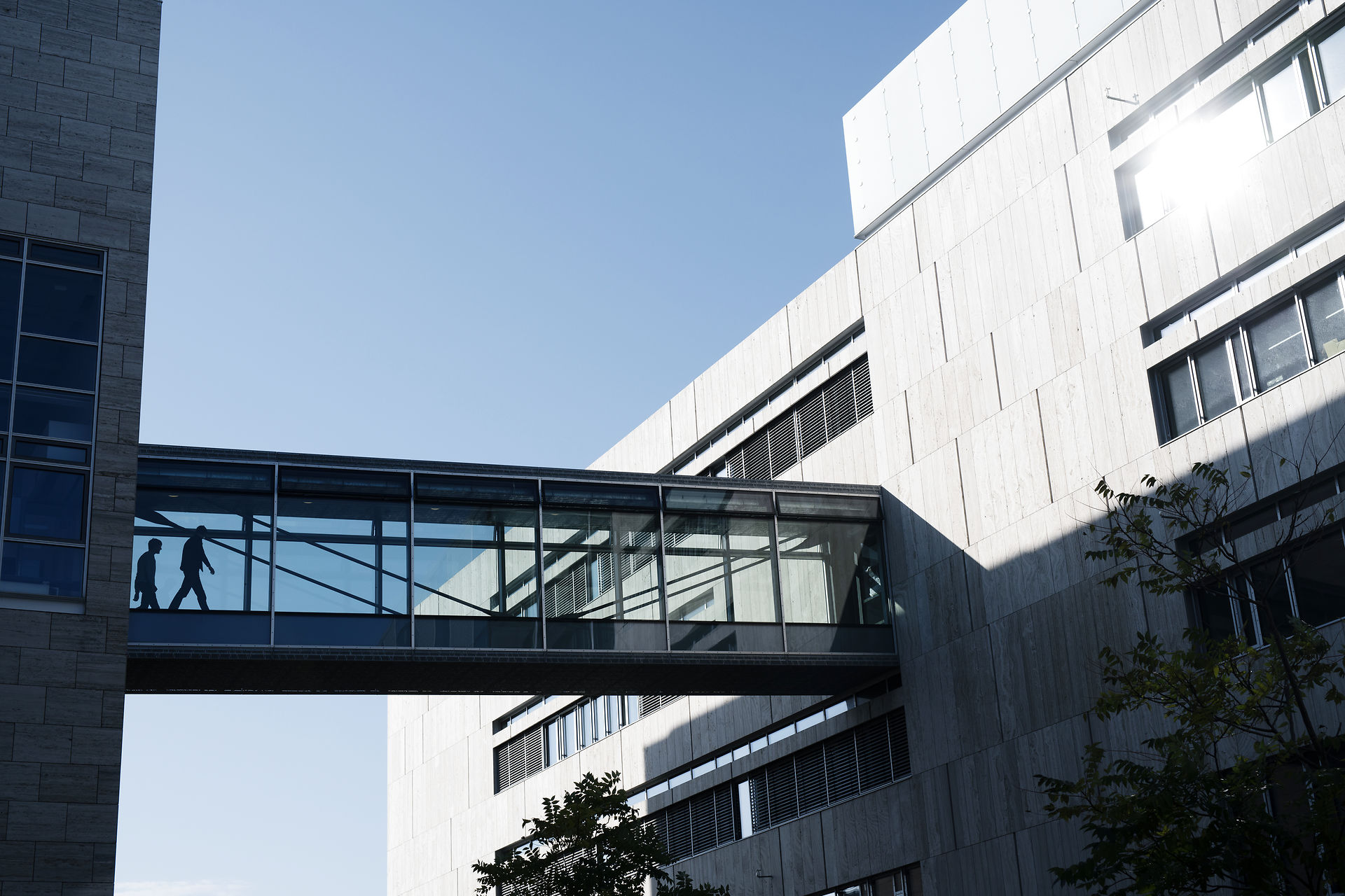 Forskere er uenige om kritik af humaniora