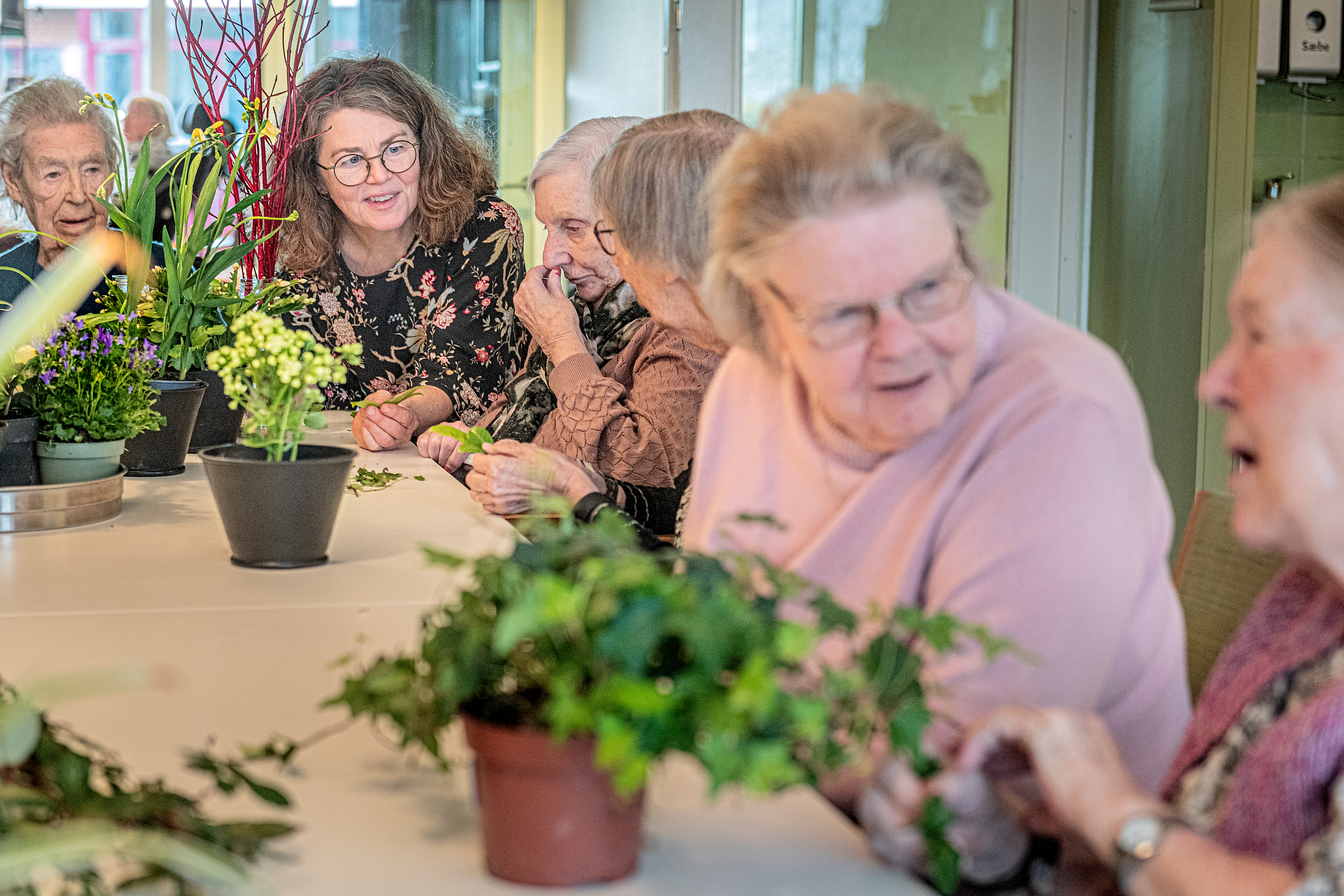 Marianne Mikkelsen 2