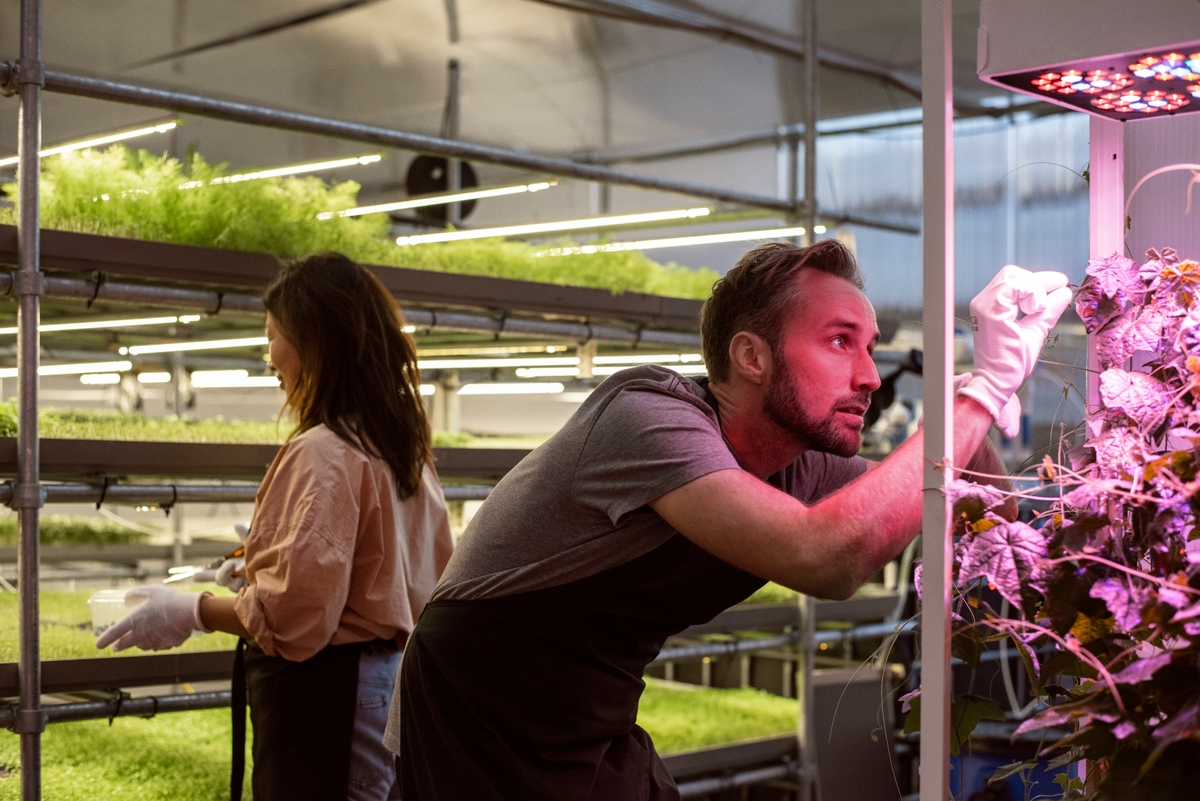 Demokratiske virksomheder