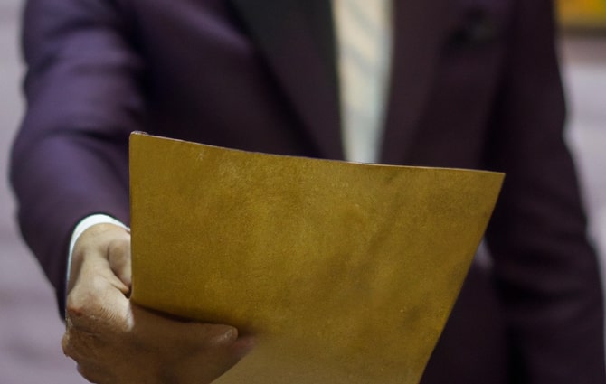 Brun mand, ansøgning, jakkesæt