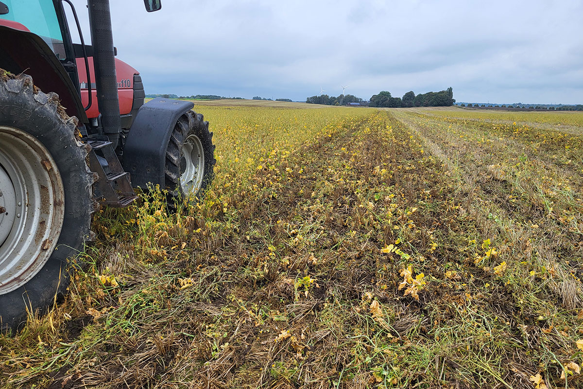 Reg Landbrug 2 12X8 20240924 132649