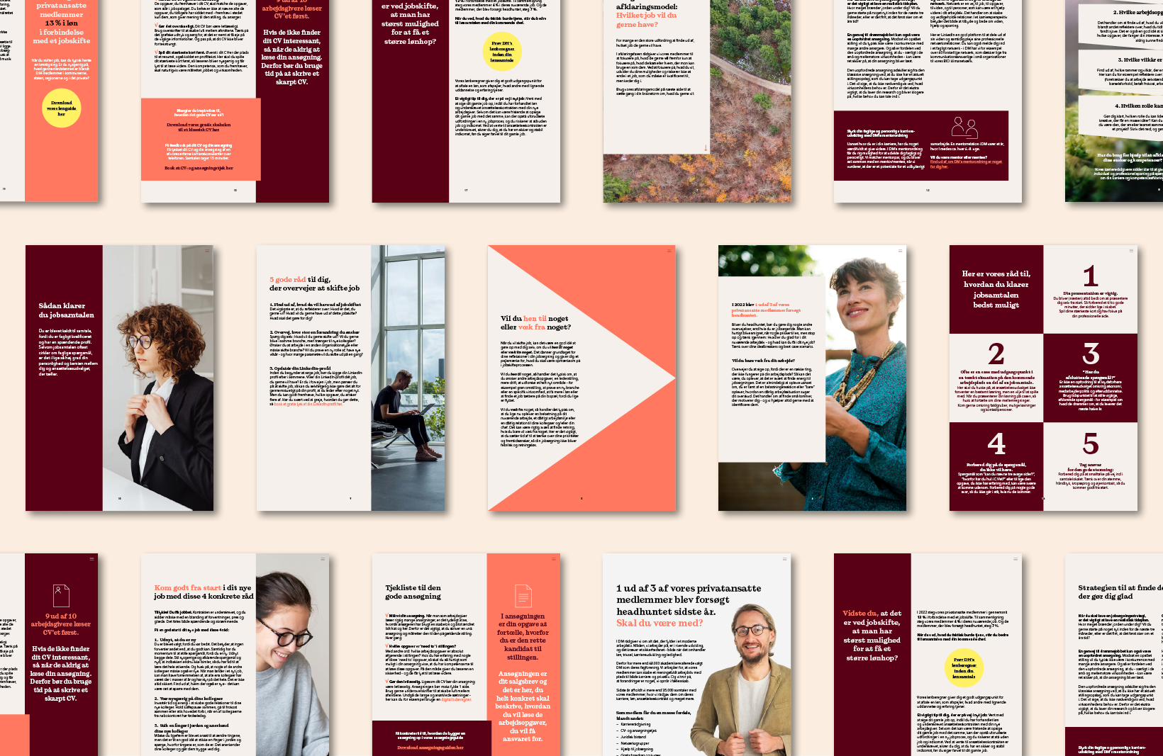 Dms Guide Til Godt Jobskifte