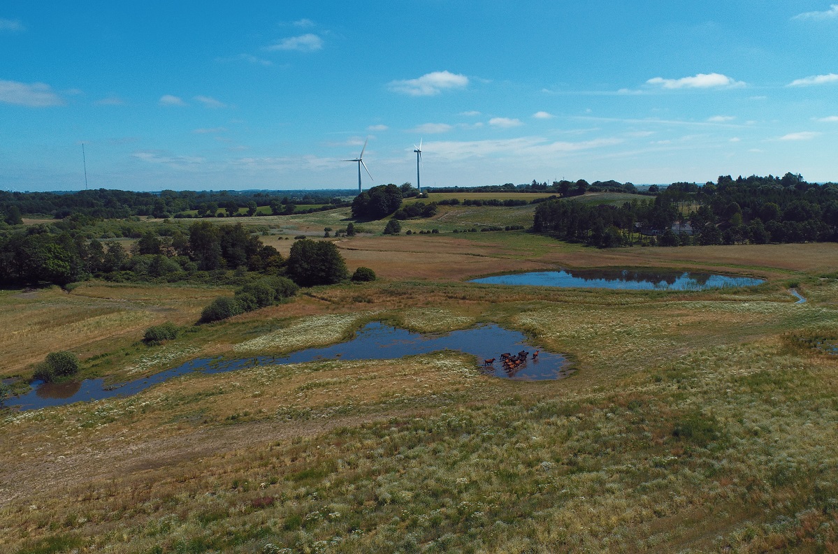 Multifunktionalitet Assens kommune