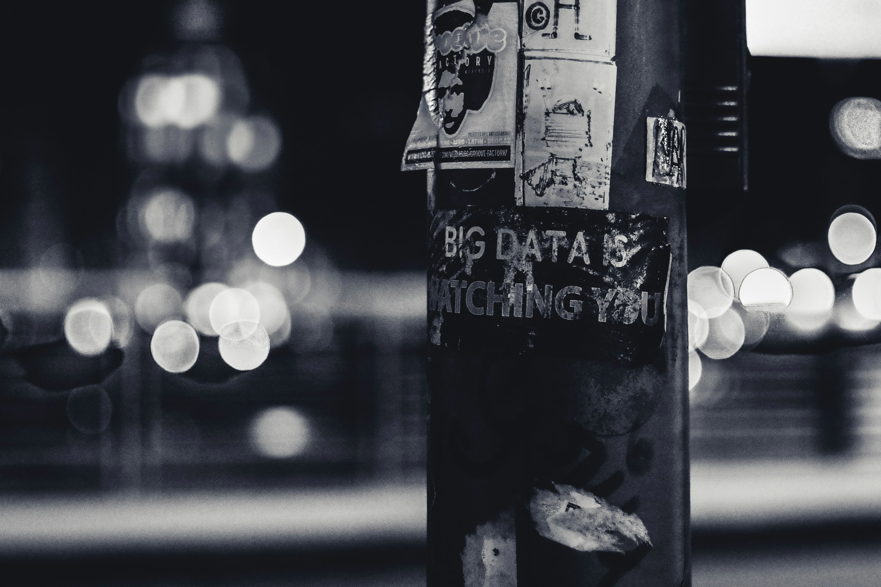 Ev Gpjvrzyavzc Unsplash (1)