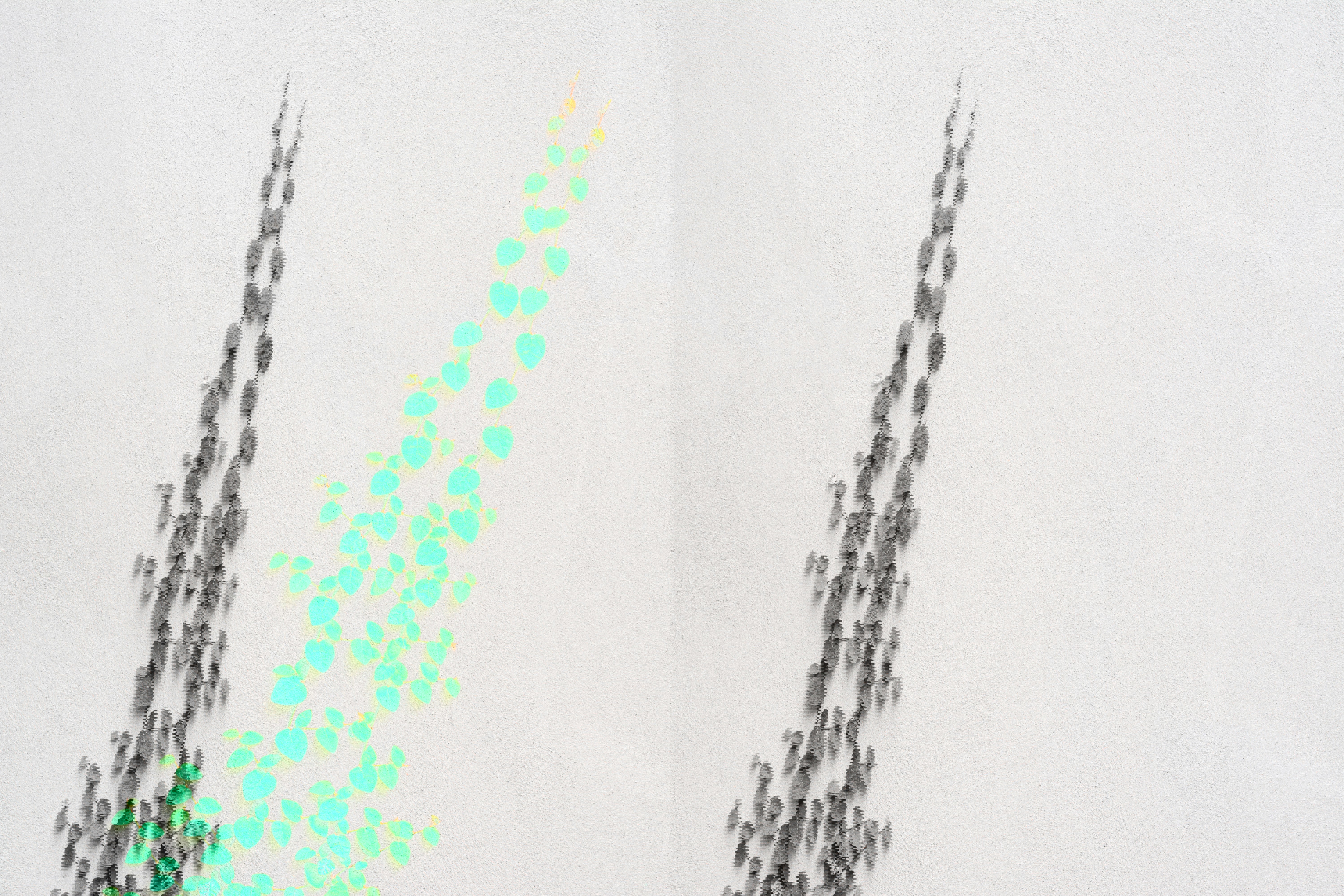 Joel Peel Vlbcgvydrrs Unsplash