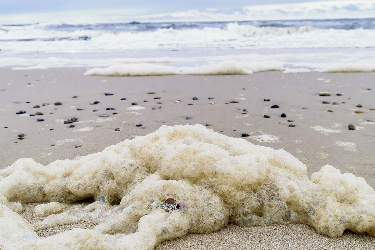 1 PFAS Havskum 12X8 Pernille Qvist Nørgaard COLOURBOX