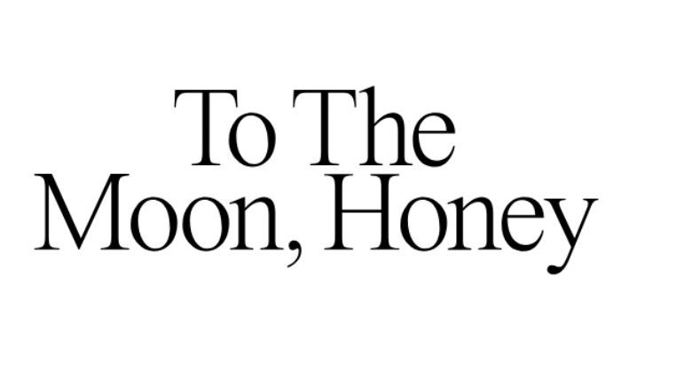 To The Moon Logo Til Hjemmeside