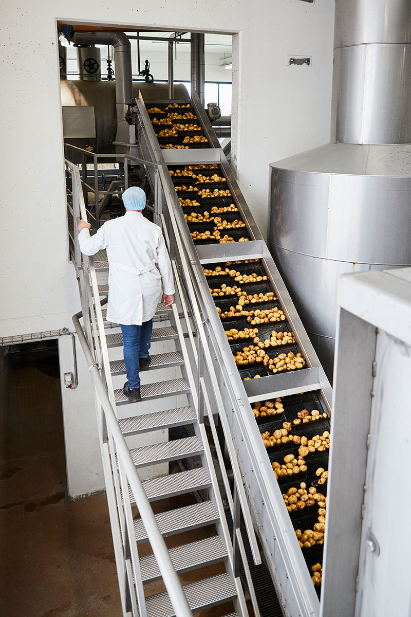 1B KMC Kartoffelforarbejdning 12X8