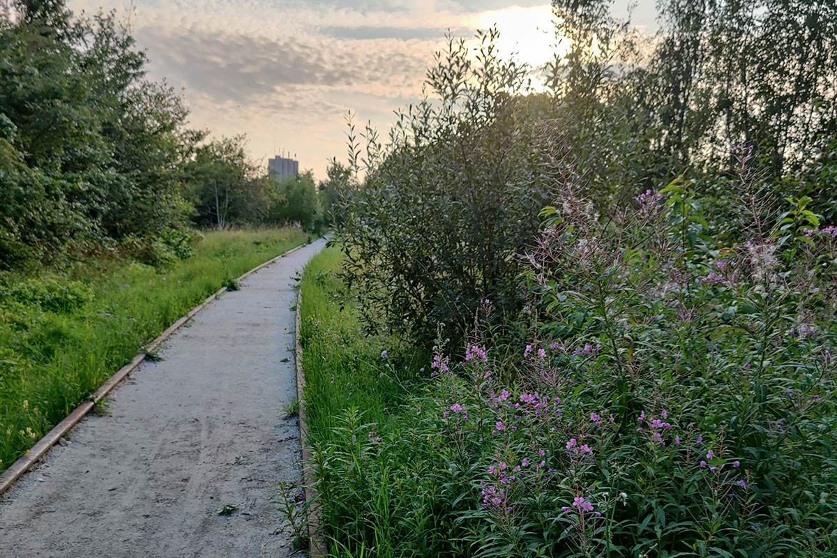 Bylderupbovefter 12X8