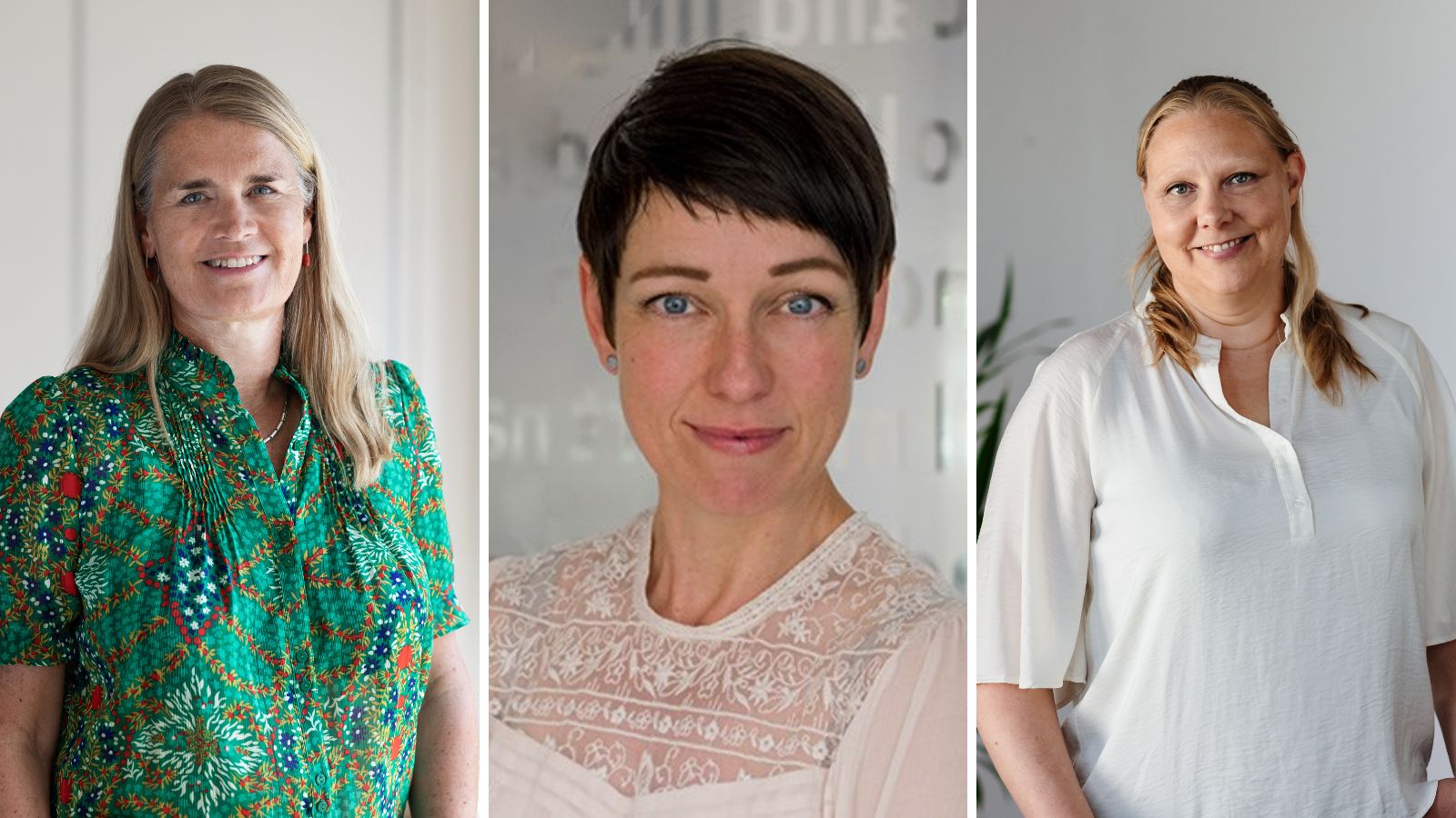 Fælleslistedmvalg 02