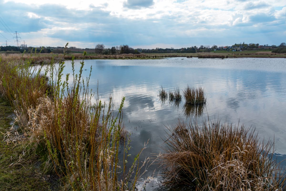 Vandmiljøet - Grøn Trepart