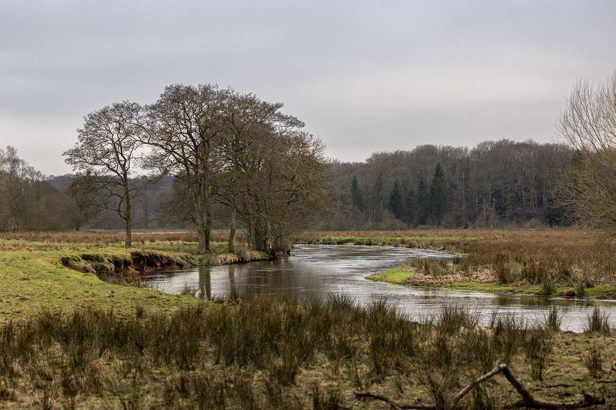 Varde Å 12X8 Søren Thomsen CB66845224