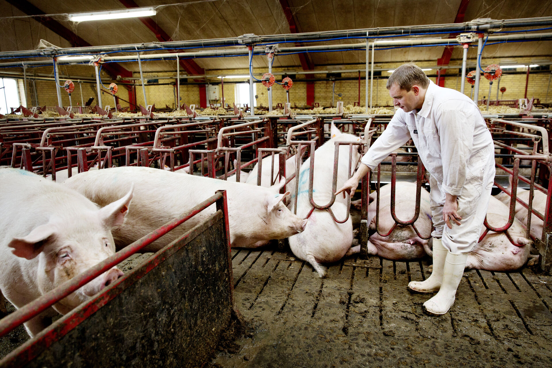 20180319 183127 2 1920X1280we