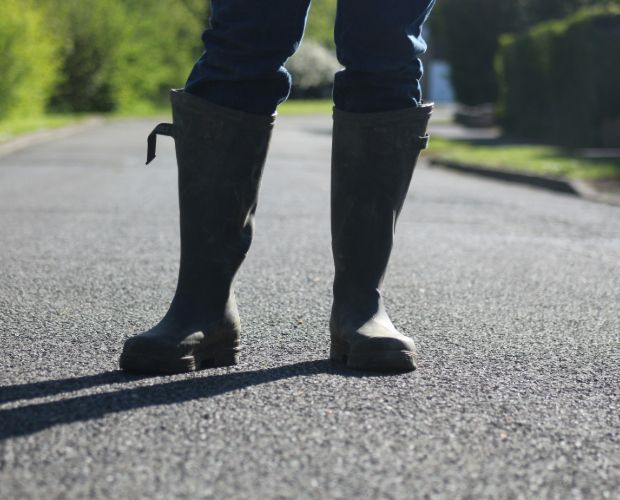 Grønne specialister i kommunerne