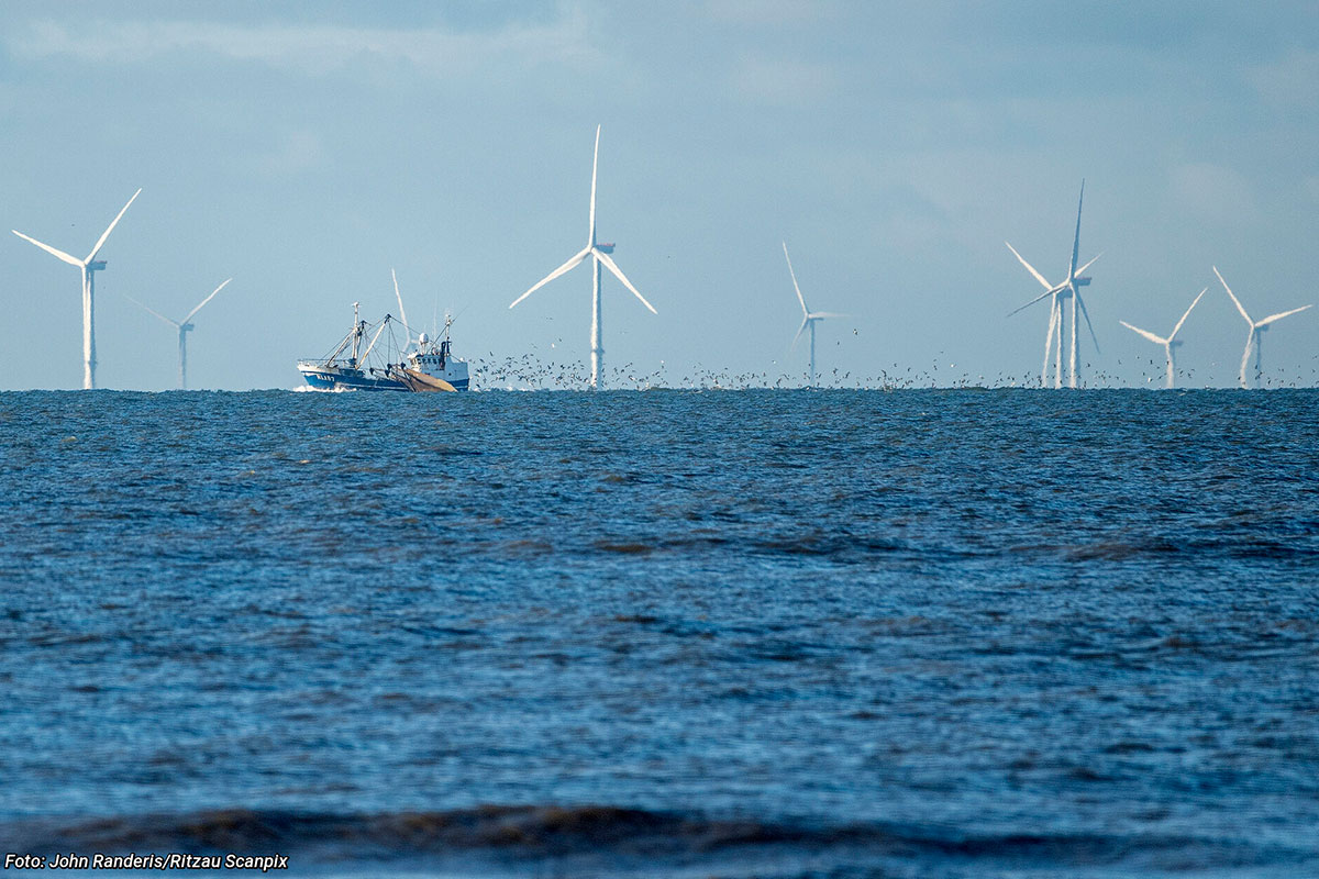 Havmoller 12X8 John Randerisritzau Scanpix20211226 154631 L Socialmedia